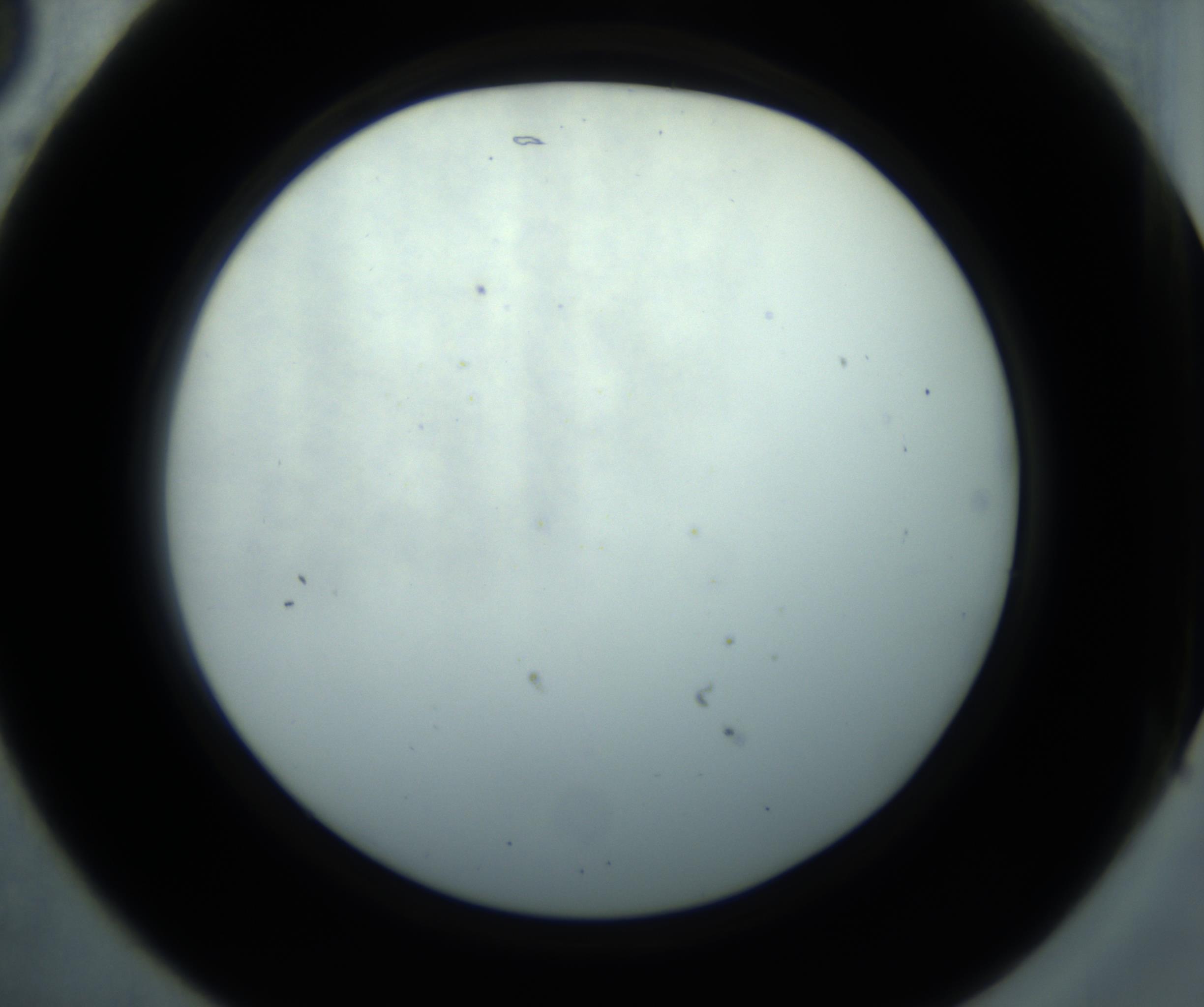 RI01_03_000_0212_Proj1_Clon1_MC_0000MC102869_001_161021_05_02_02_00_98_002_001_RAI.jpg