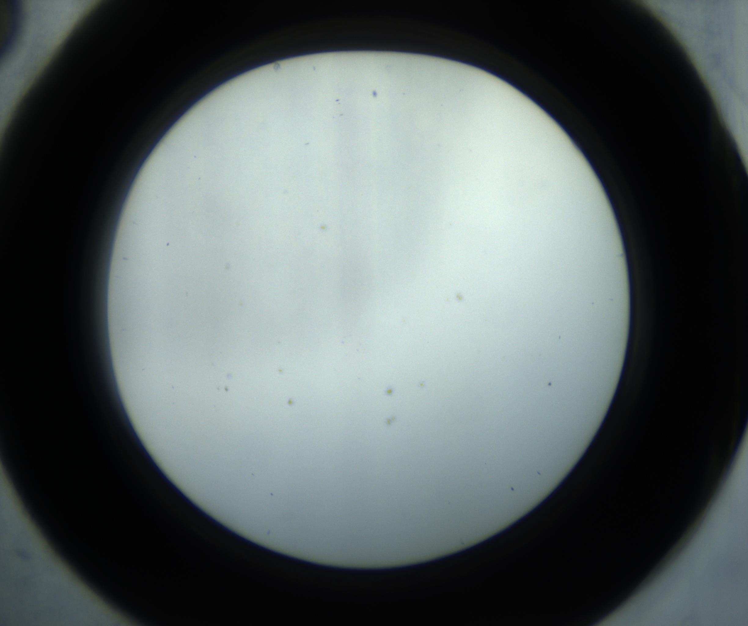 RI01_03_000_0212_Proj1_Clon1_MC_0000MC102869_001_161021_05_03_02_00_98_002_001_RAI.jpg