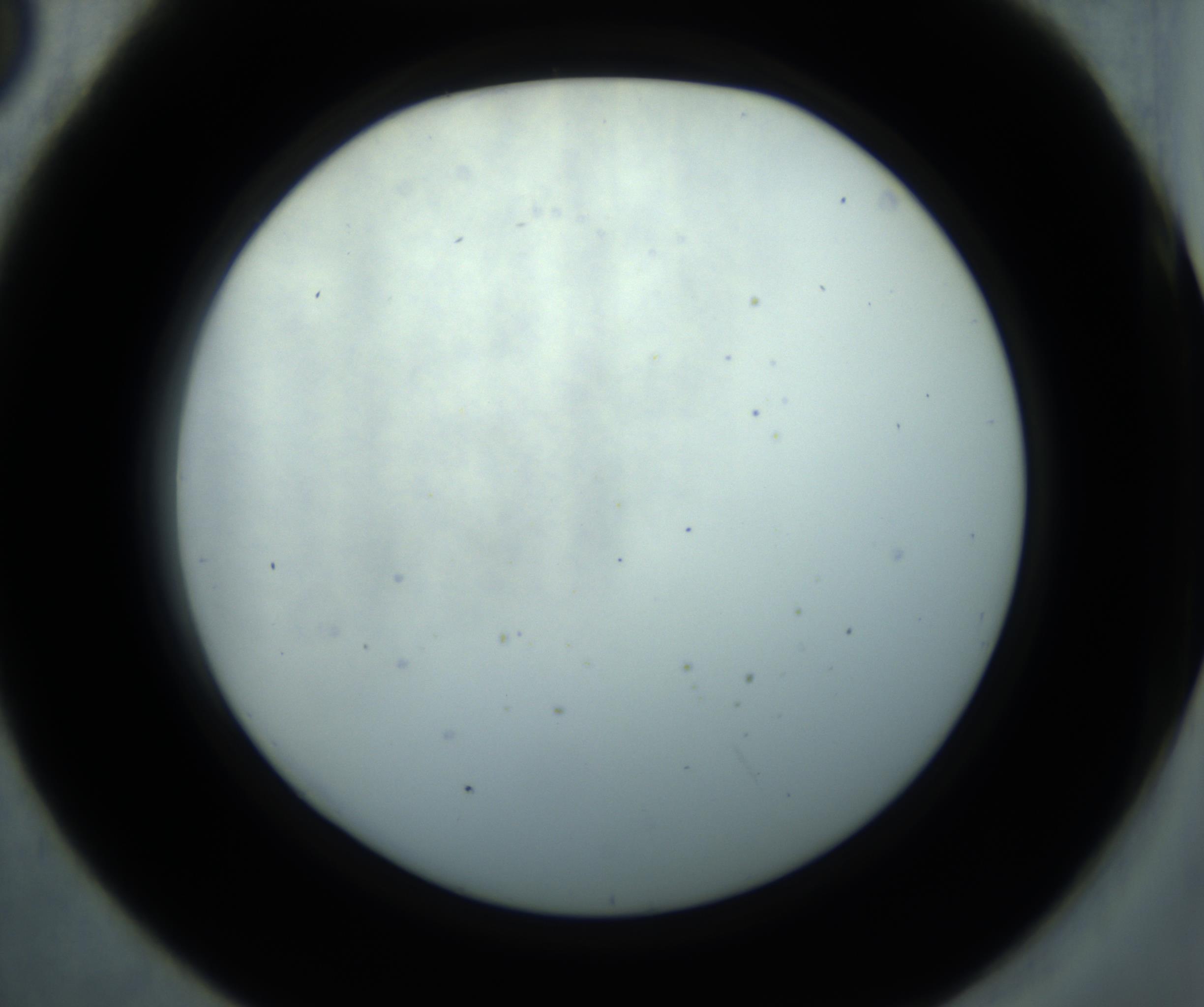 RI01_03_000_0212_Proj1_Clon1_MC_0000MC102869_001_161021_05_04_02_00_98_002_001_RAI.jpg