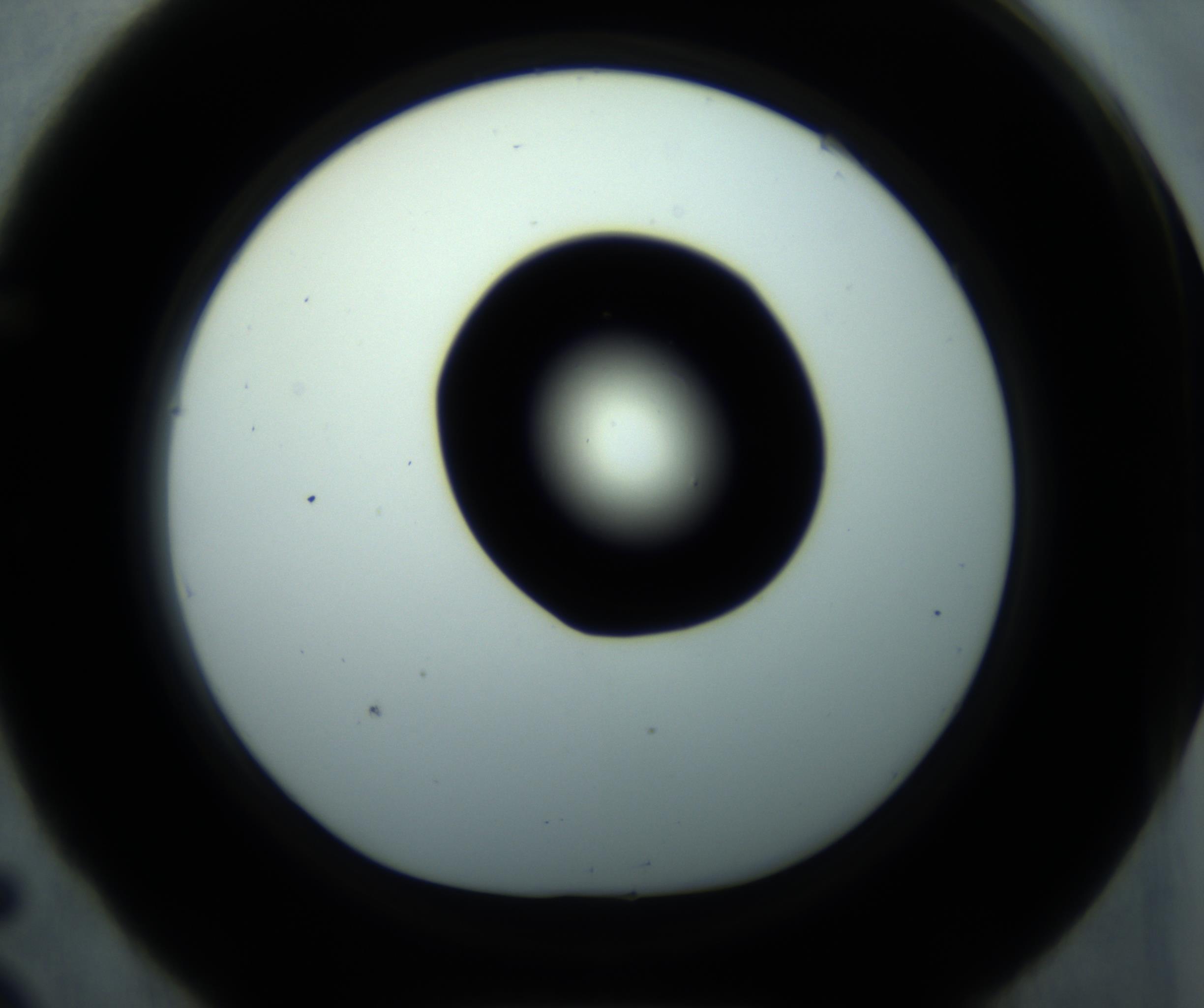 RI01_03_000_0212_Proj1_Clon1_MC_0000MC102869_001_161021_05_05_01_00_98_002_001_RAI.jpg