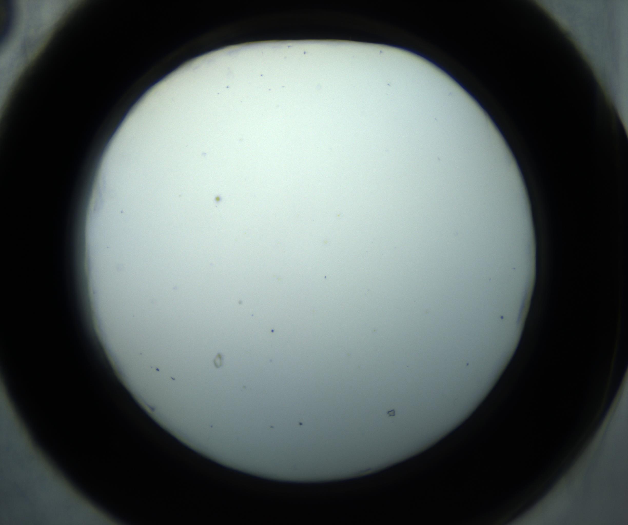 RI01_03_000_0212_Proj1_Clon1_MC_0000MC102869_001_161021_05_05_02_00_98_002_001_RAI.jpg
