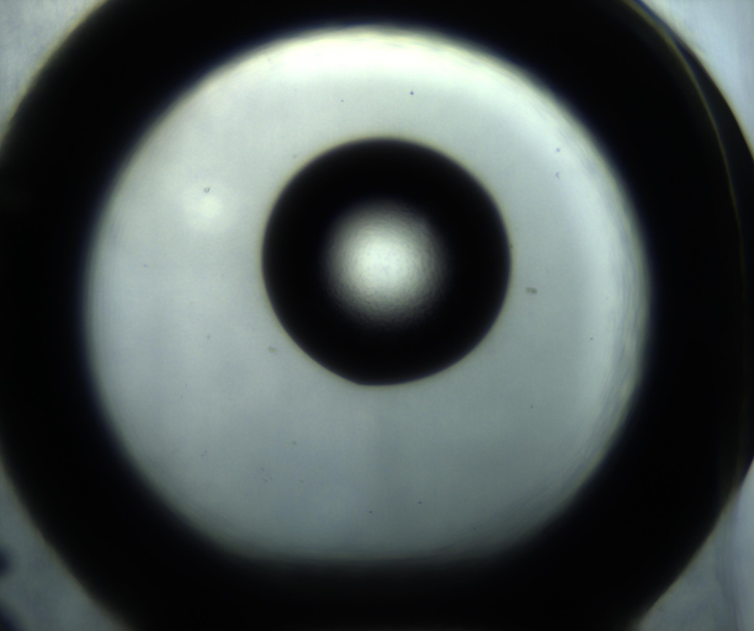 RI01_03_000_0212_Proj1_Clon1_MC_0000MC102869_001_161021_05_06_01_00_98_002_001_RAI.jpg