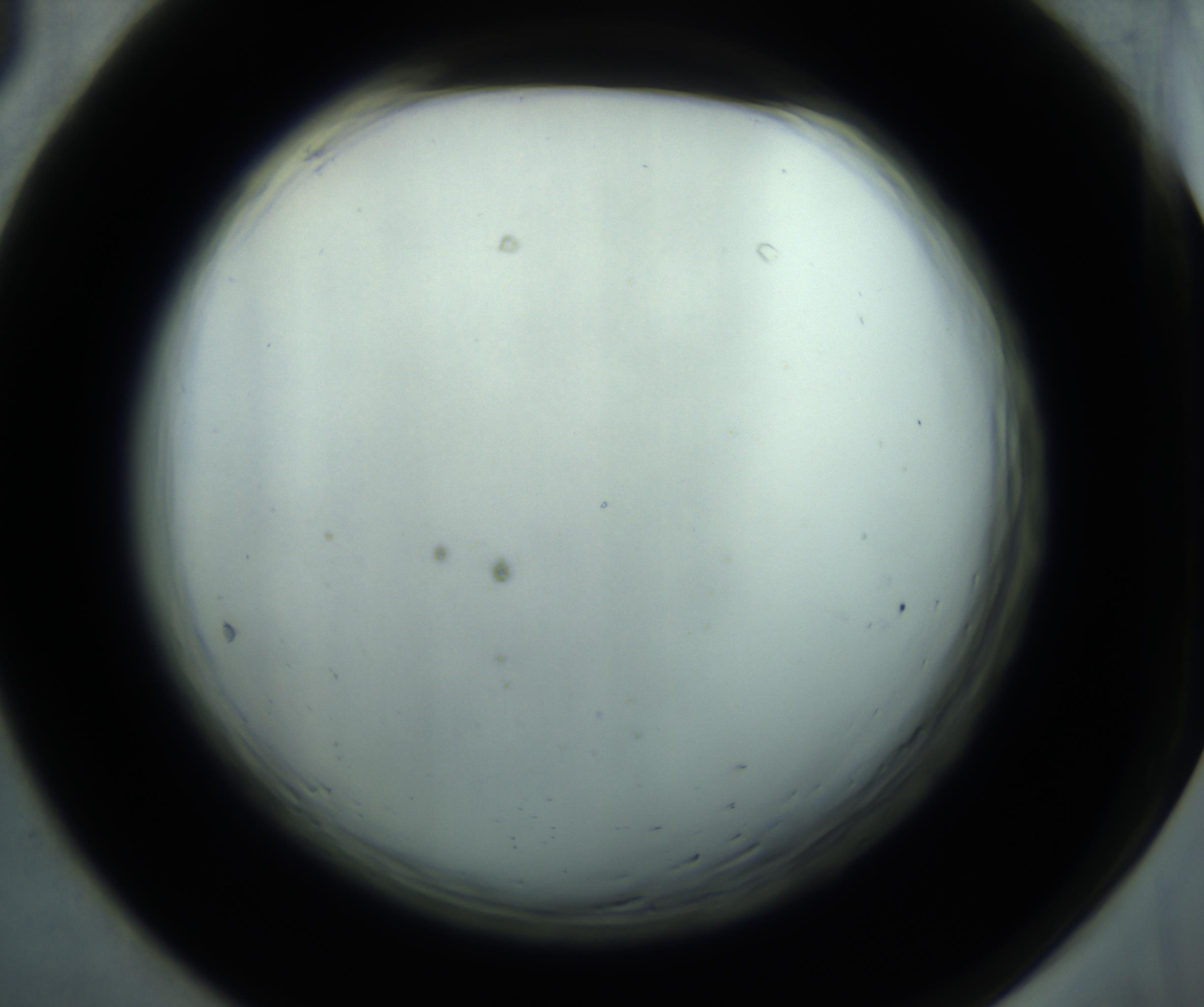 RI01_03_000_0212_Proj1_Clon1_MC_0000MC102869_001_161021_05_06_02_00_98_002_001_RAI.jpg