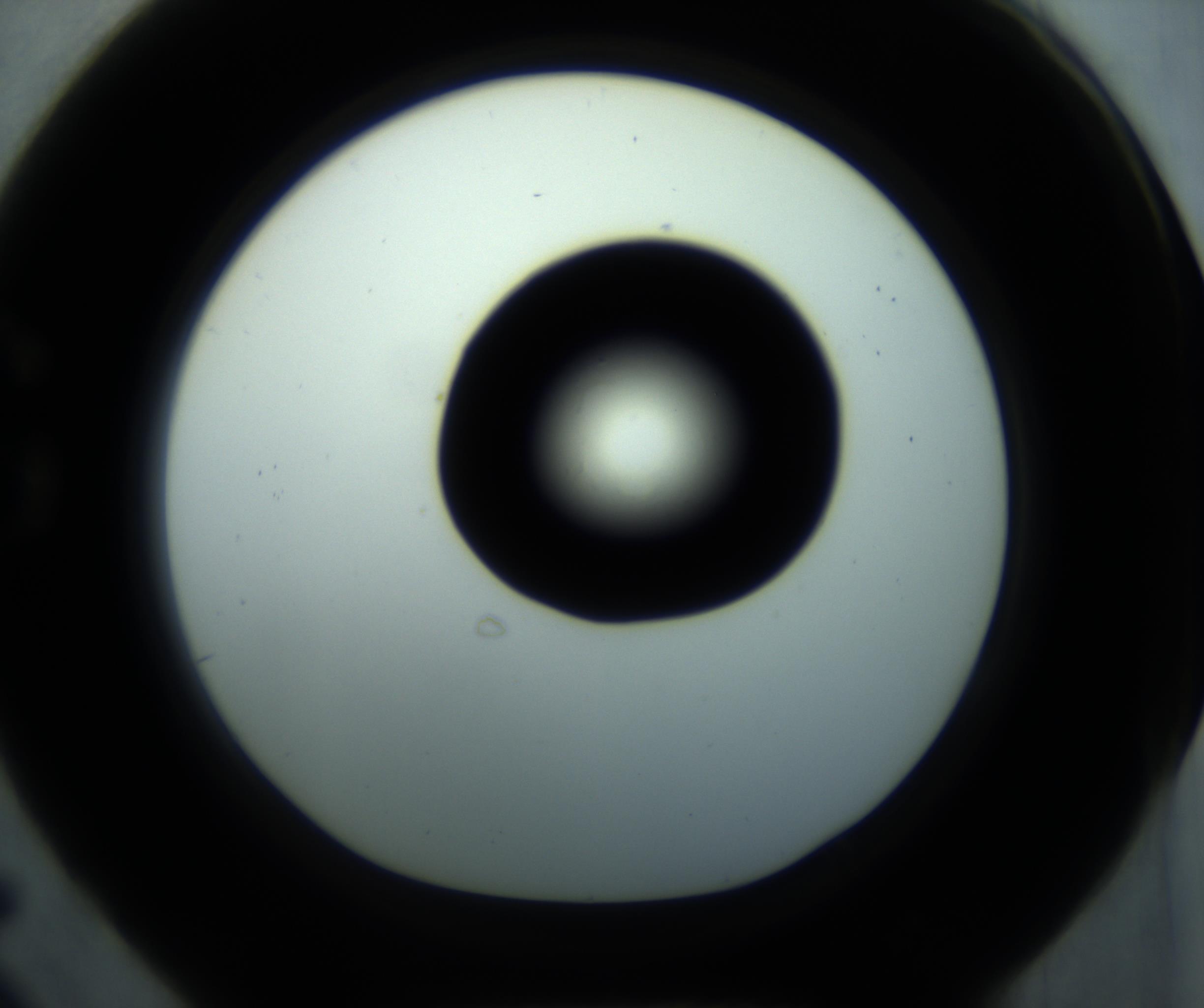 RI01_03_000_0212_Proj1_Clon1_MC_0000MC102869_001_161021_05_07_01_00_98_002_001_RAI.jpg