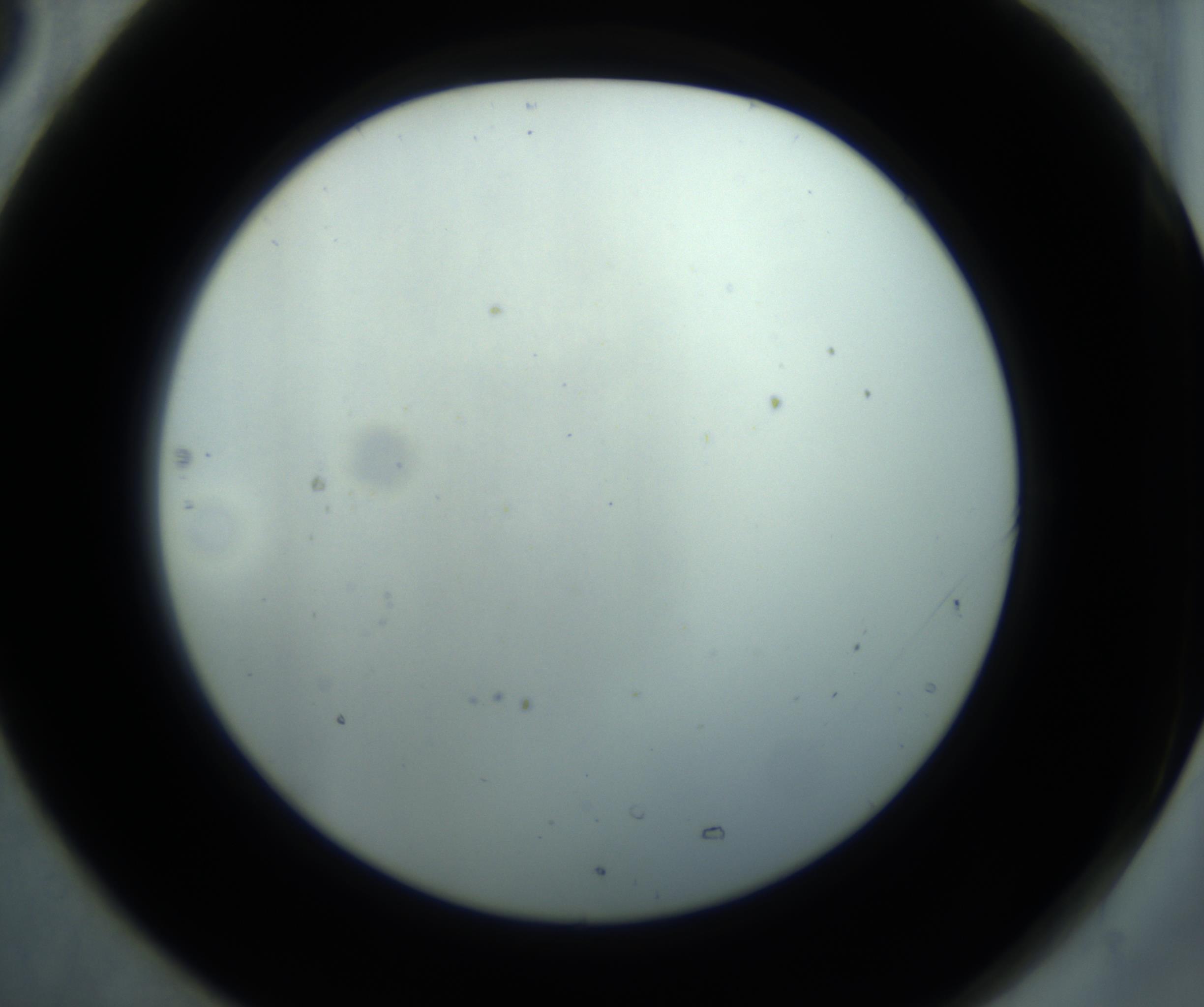 RI01_03_000_0212_Proj1_Clon1_MC_0000MC102869_001_161021_05_07_02_00_98_002_001_RAI.jpg