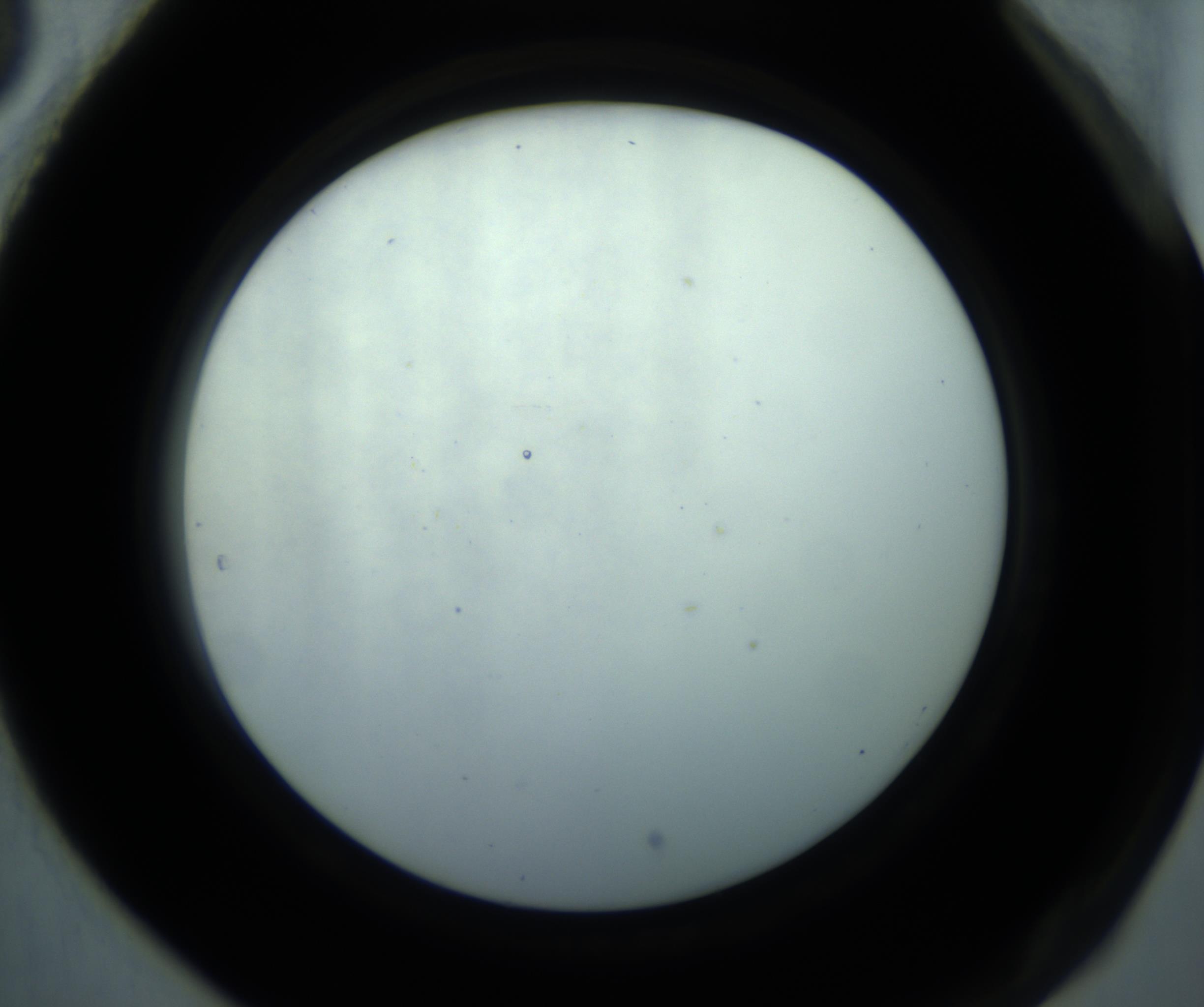 RI01_03_000_0212_Proj1_Clon1_MC_0000MC102869_001_161021_05_08_02_00_98_002_001_RAI.jpg