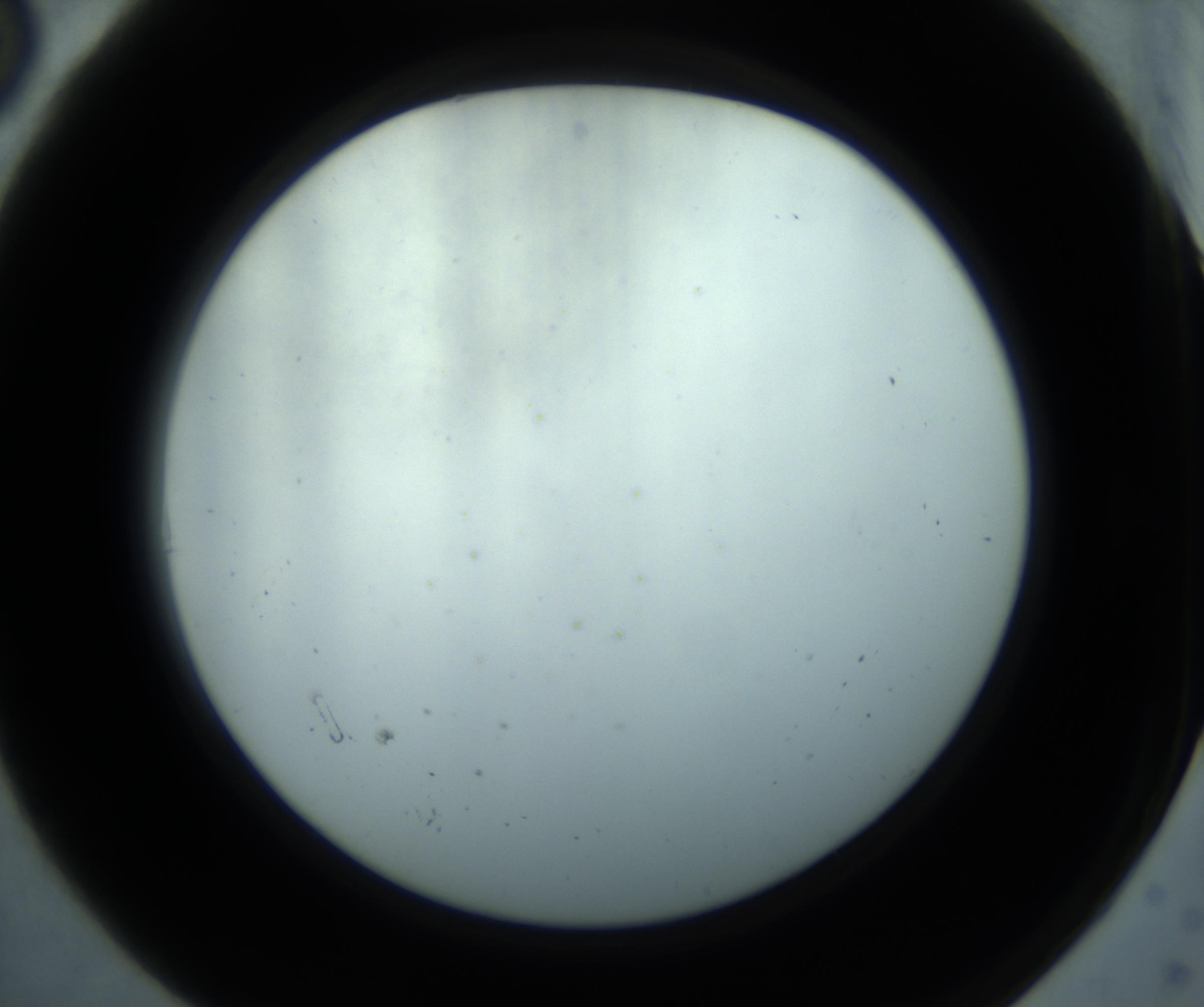RI01_03_000_0212_Proj1_Clon1_MC_0000MC102869_001_161021_06_01_02_00_98_002_001_RAI.jpg