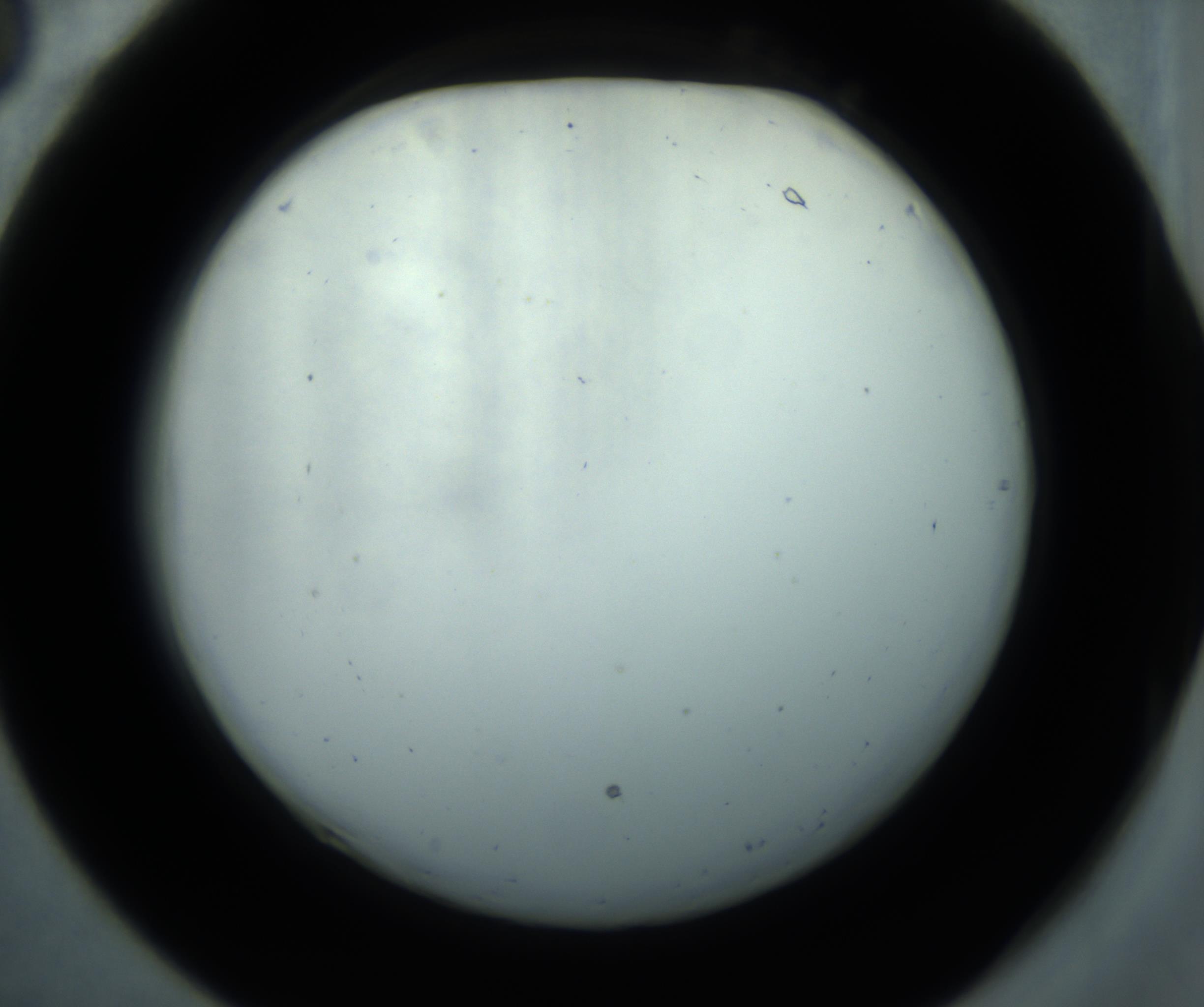 RI01_03_000_0212_Proj1_Clon1_MC_0000MC102869_001_161021_06_02_02_00_98_002_001_RAI.jpg