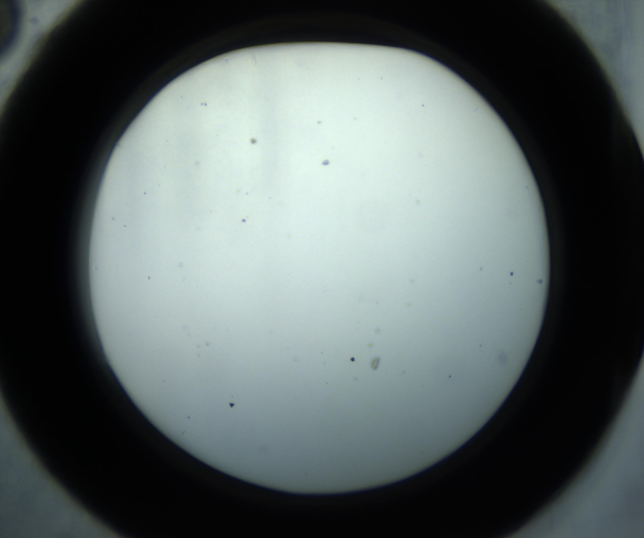RI01_03_000_0212_Proj1_Clon1_MC_0000MC102869_001_161021_06_03_02_00_98_002_001_RAI.jpg