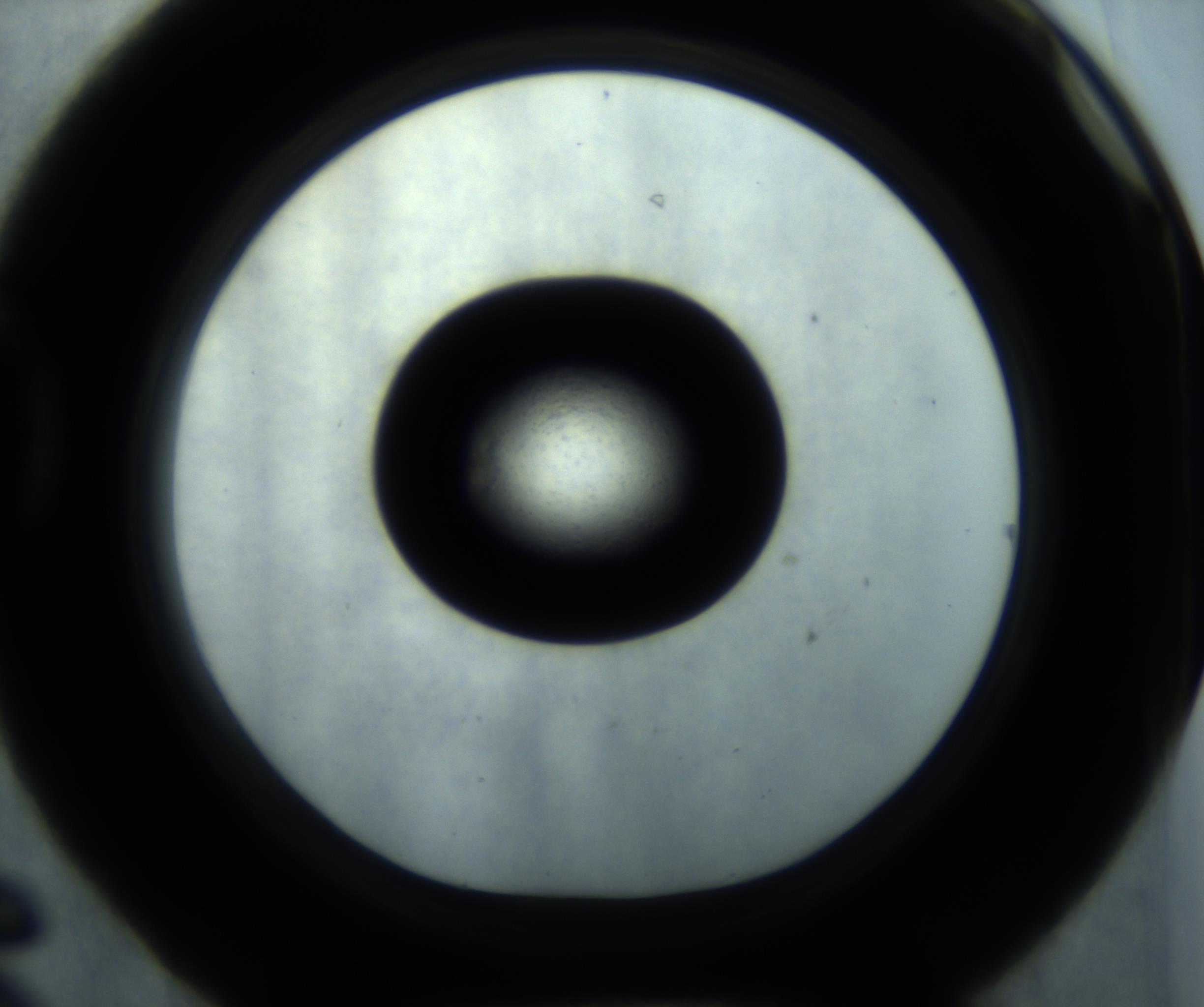 RI01_03_000_0212_Proj1_Clon1_MC_0000MC102869_001_161021_06_04_01_00_98_002_001_RAI.jpg