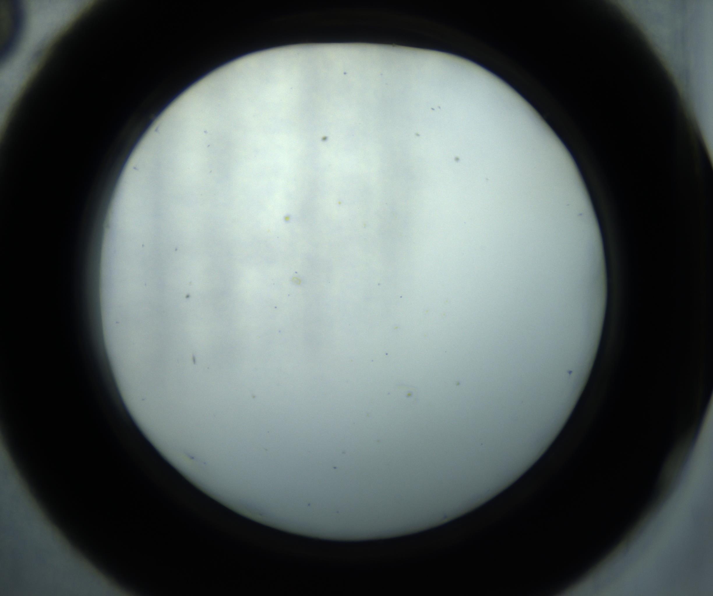 RI01_03_000_0212_Proj1_Clon1_MC_0000MC102869_001_161021_06_04_02_00_98_002_001_RAI.jpg