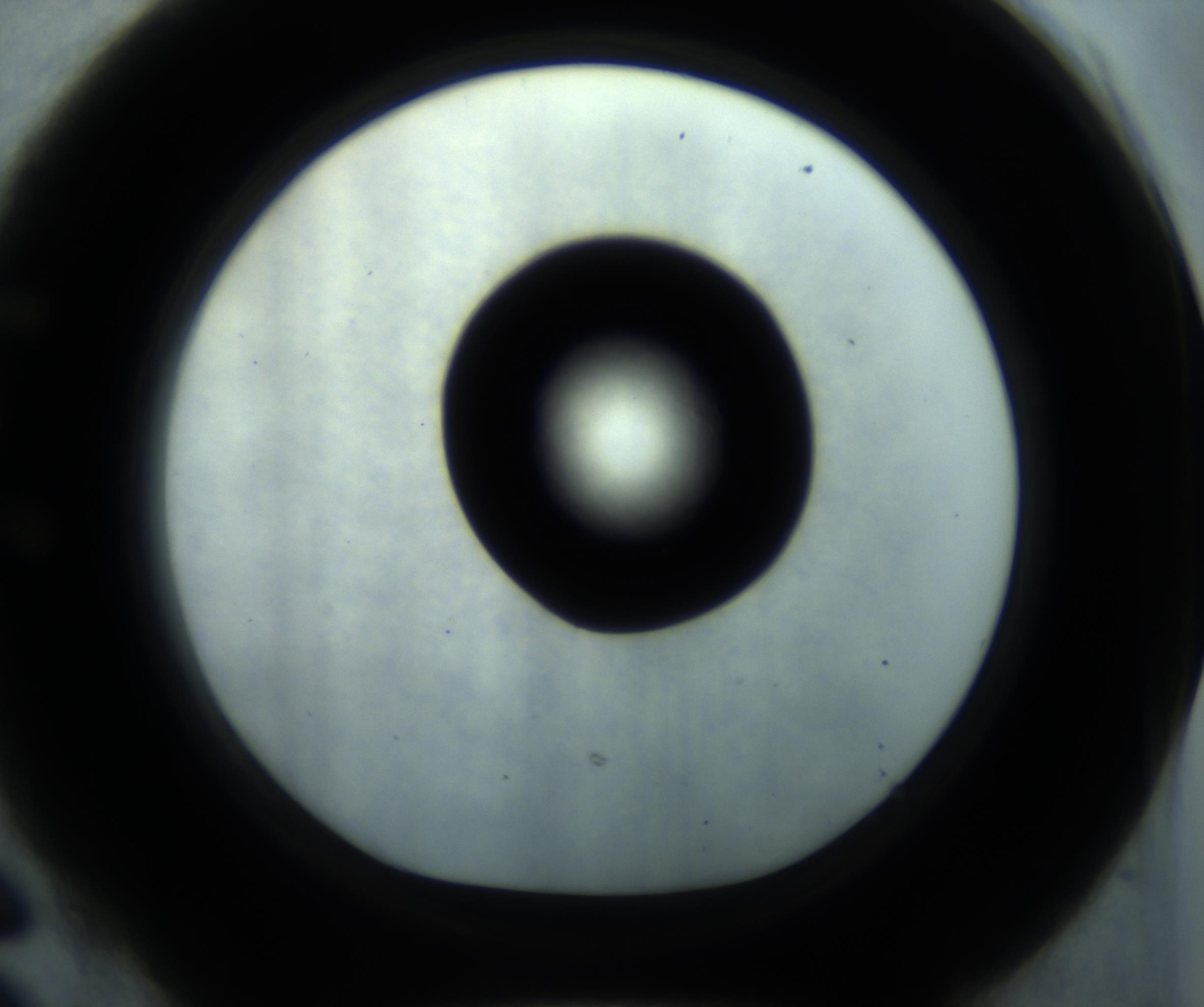 RI01_03_000_0212_Proj1_Clon1_MC_0000MC102869_001_161021_06_05_01_00_98_002_001_RAI.jpg