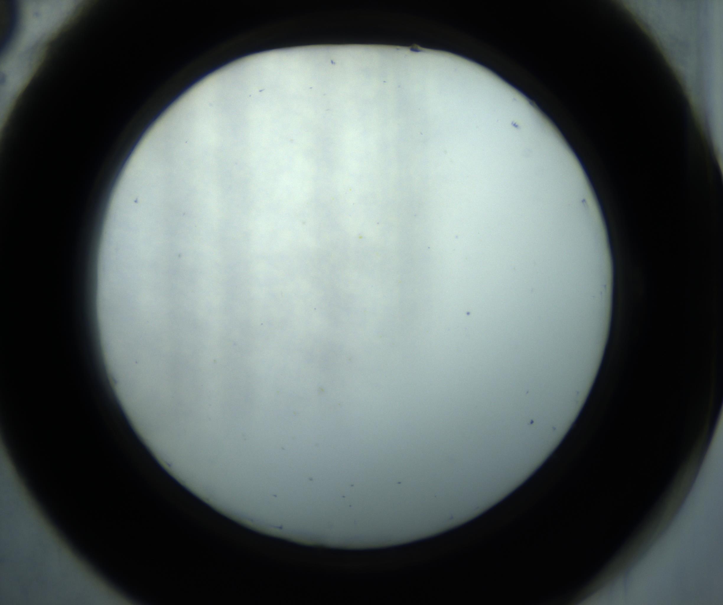 RI01_03_000_0212_Proj1_Clon1_MC_0000MC102869_001_161021_06_05_02_00_98_002_001_RAI.jpg
