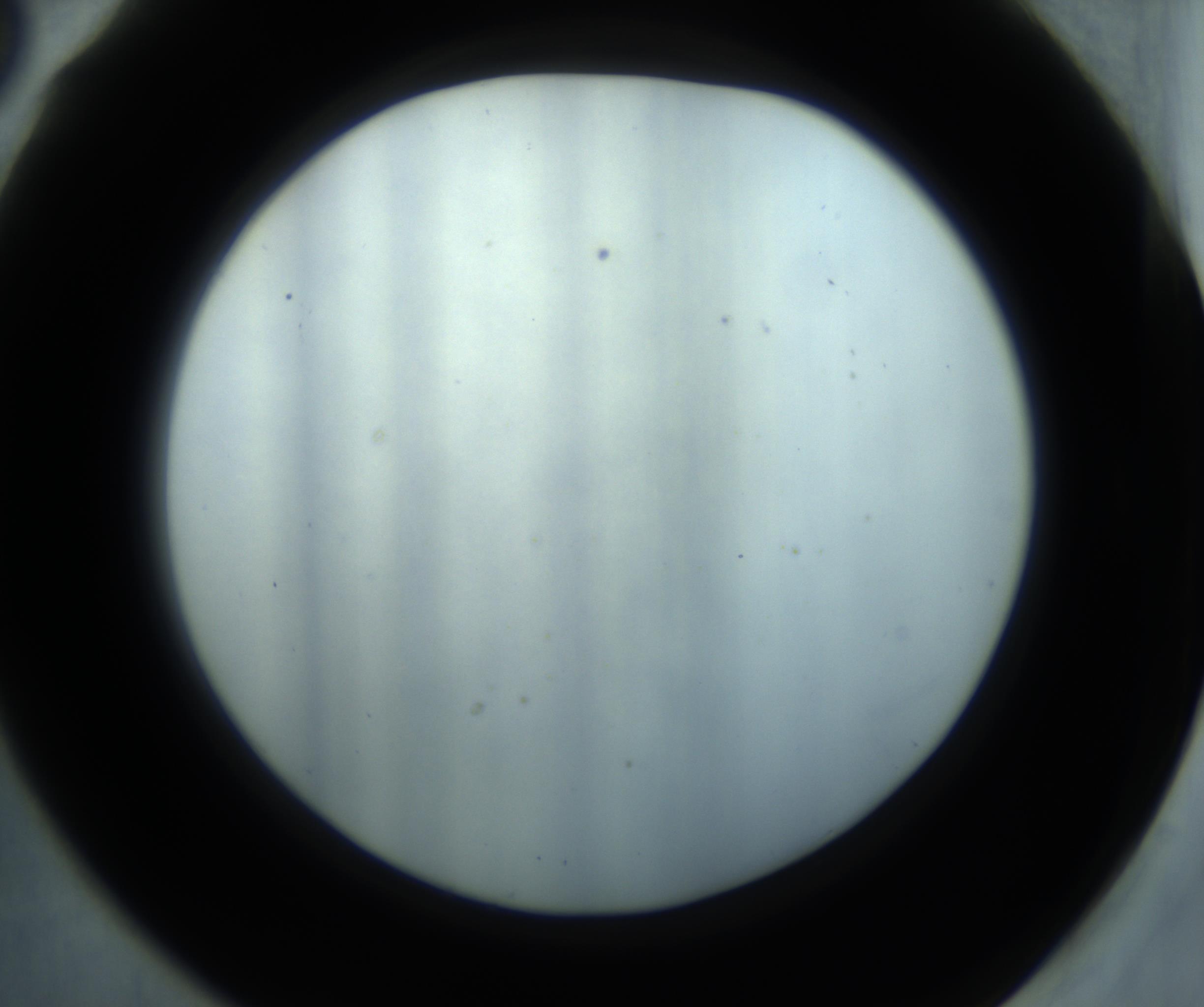 RI01_03_000_0212_Proj1_Clon1_MC_0000MC102869_001_161021_06_06_02_00_98_002_001_RAI.jpg