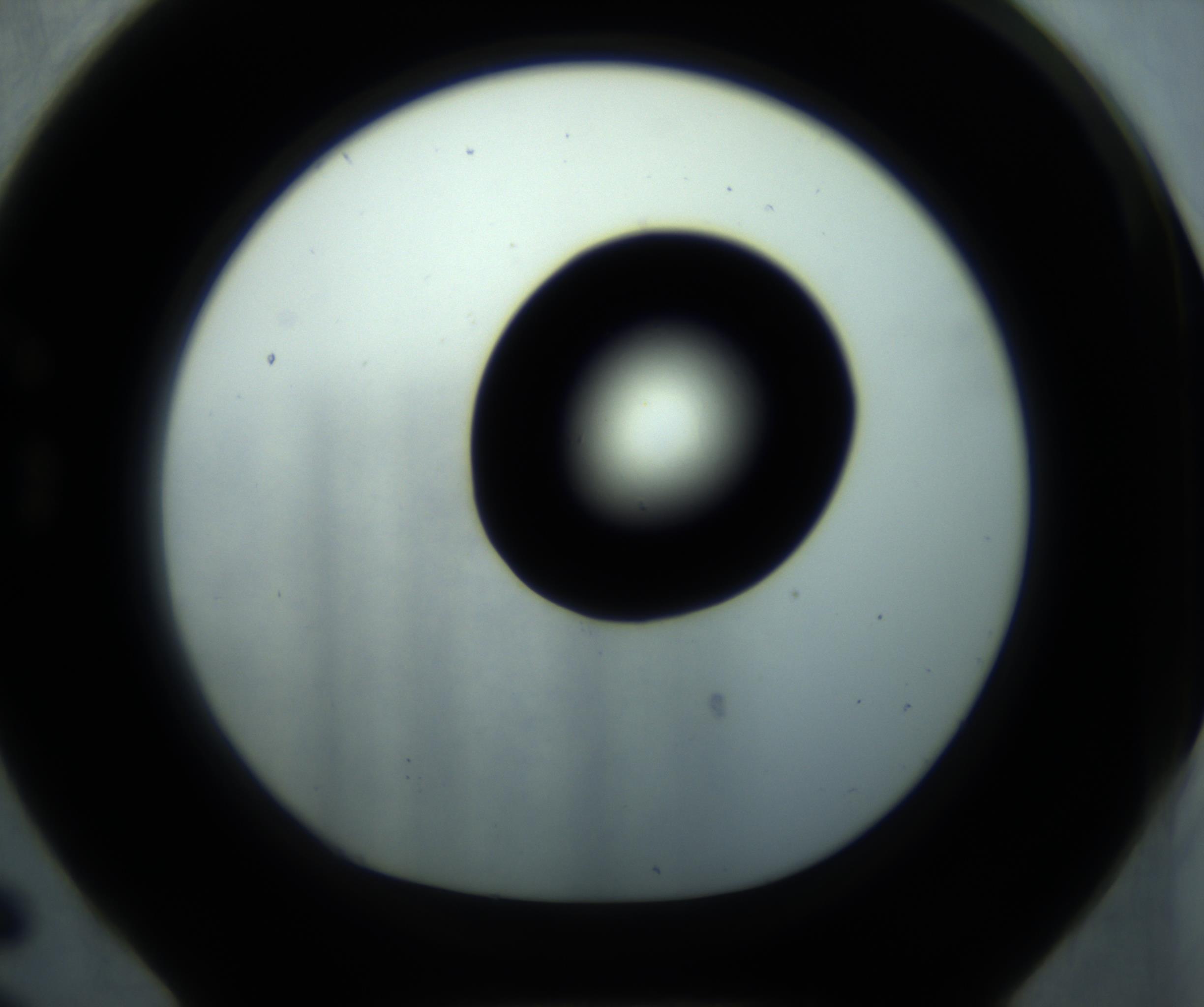 RI01_03_000_0212_Proj1_Clon1_MC_0000MC102869_001_161021_06_07_01_00_98_002_001_RAI.jpg