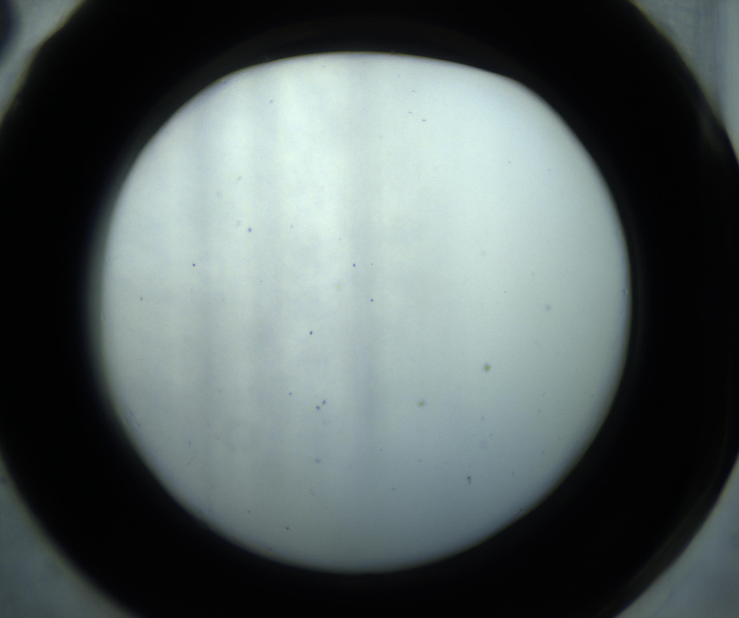RI01_03_000_0212_Proj1_Clon1_MC_0000MC102869_001_161021_06_07_02_00_98_002_001_RAI.jpg
