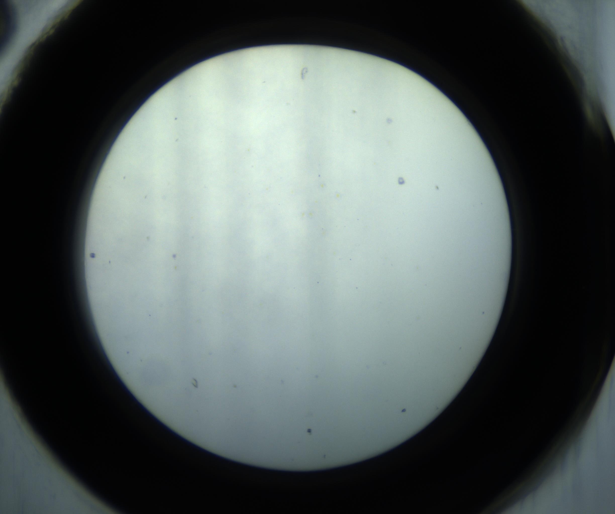 RI01_03_000_0212_Proj1_Clon1_MC_0000MC102869_001_161021_06_08_02_00_98_002_001_RAI.jpg