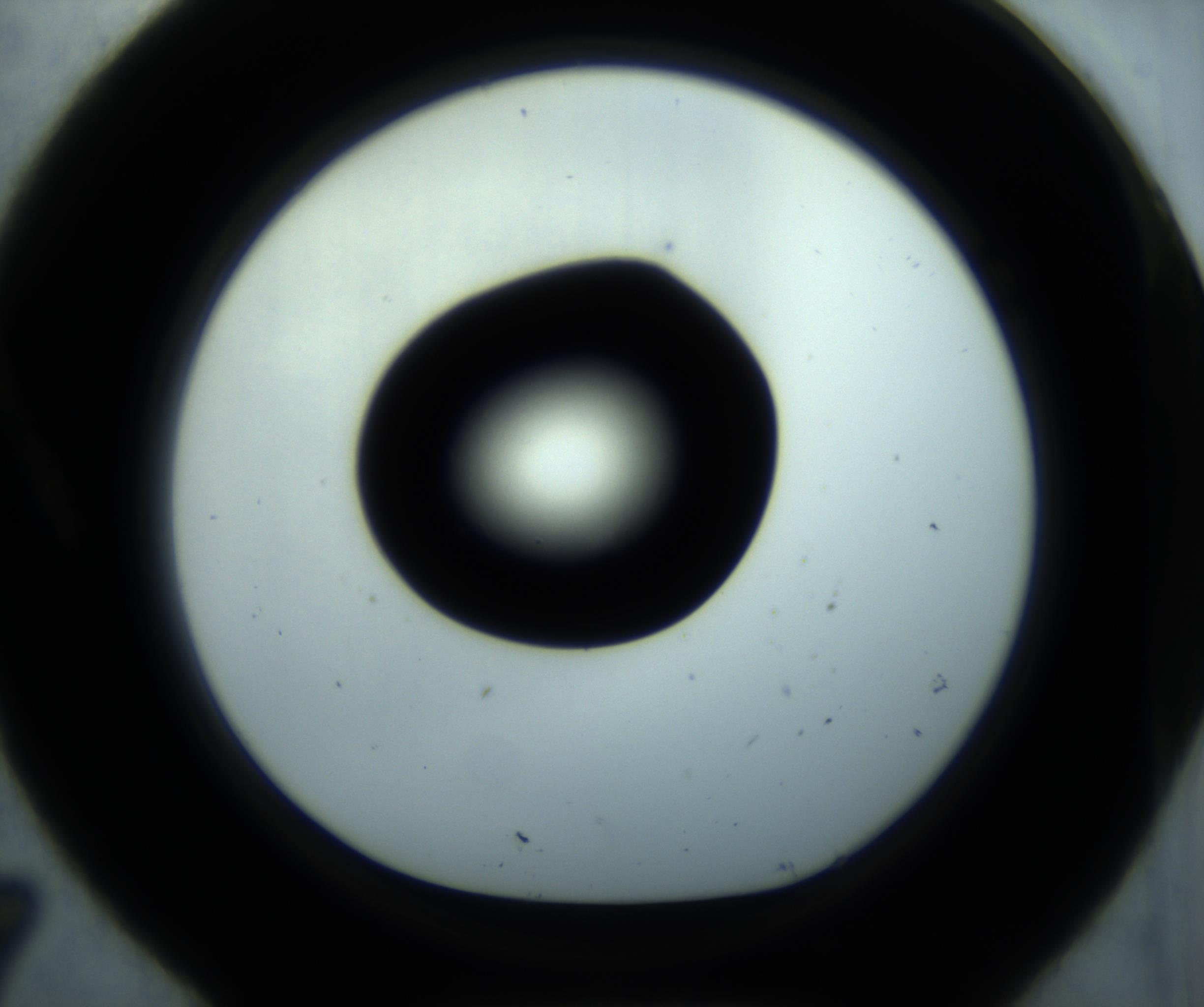 RI01_03_000_0212_Proj1_Clon1_MC_0000MC102869_001_161021_07_01_01_00_98_002_001_RAI.jpg