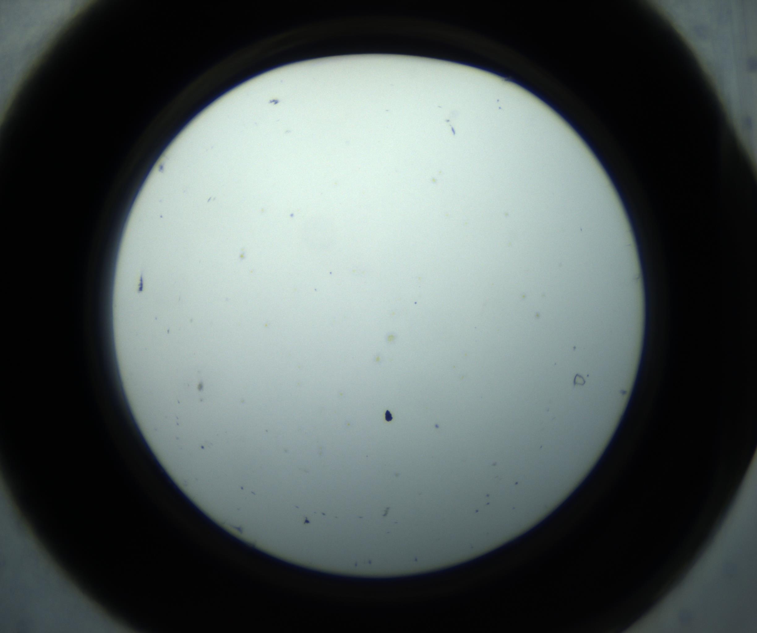 RI01_03_000_0212_Proj1_Clon1_MC_0000MC102869_001_161021_07_01_02_00_98_002_001_RAI.jpg