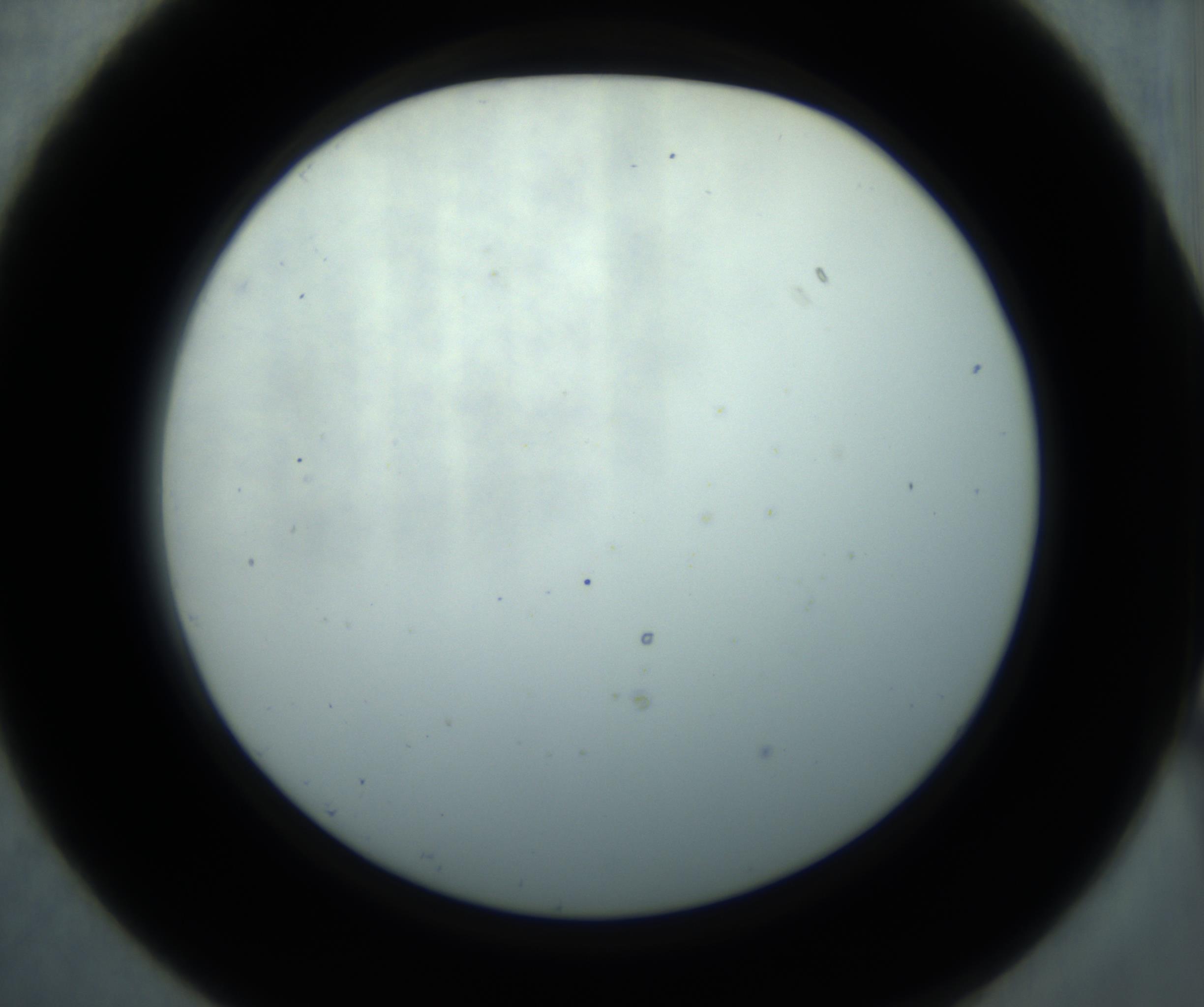 RI01_03_000_0212_Proj1_Clon1_MC_0000MC102869_001_161021_07_02_02_00_98_002_001_RAI.jpg