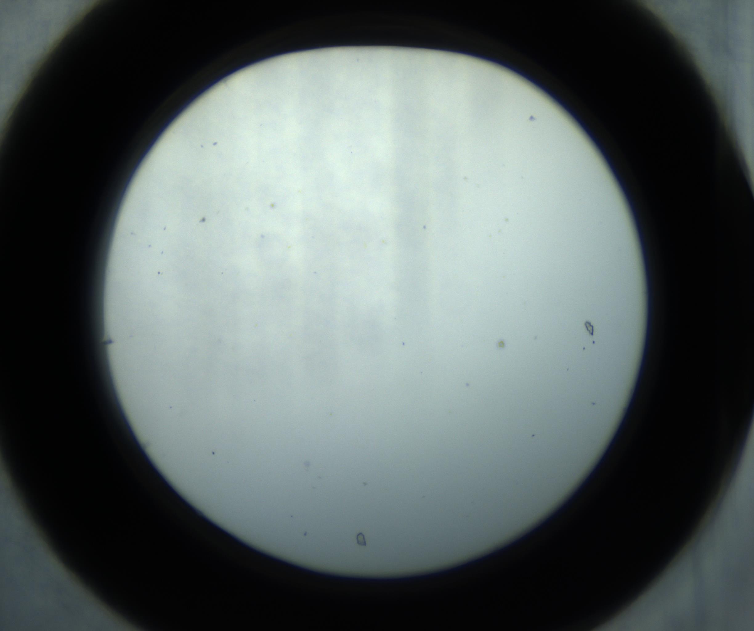 RI01_03_000_0212_Proj1_Clon1_MC_0000MC102869_001_161021_07_03_02_00_98_002_001_RAI.jpg