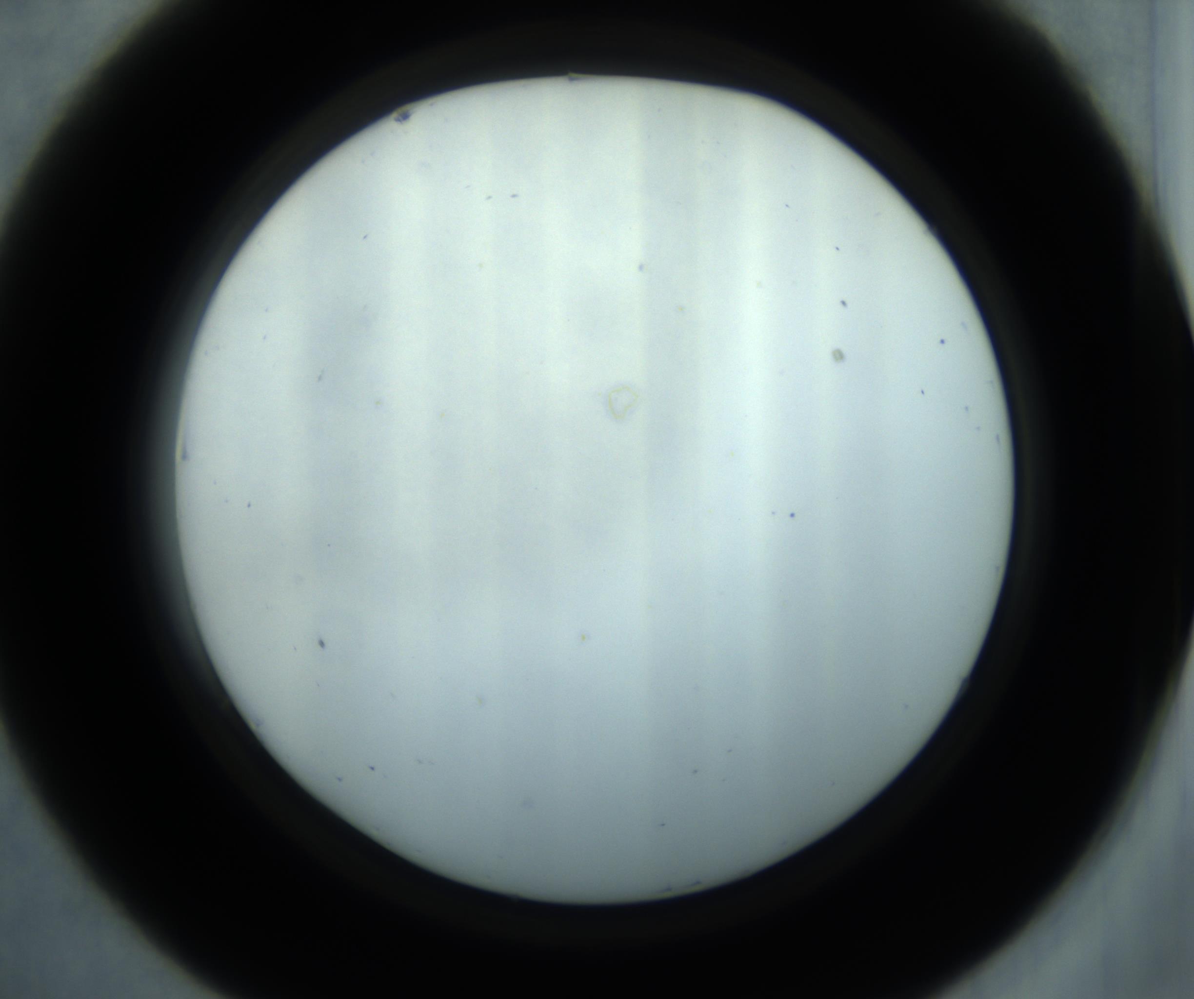 RI01_03_000_0212_Proj1_Clon1_MC_0000MC102869_001_161021_07_04_02_00_98_002_001_RAI.jpg