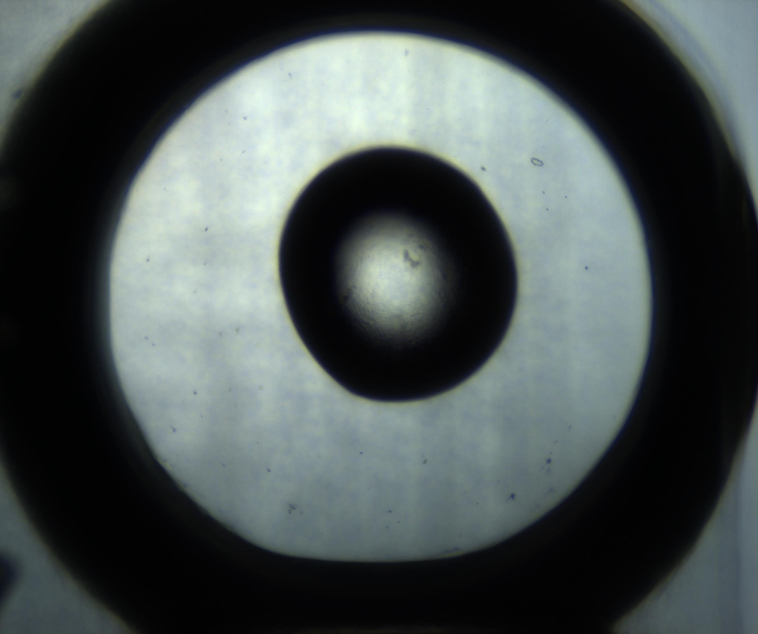 RI01_03_000_0212_Proj1_Clon1_MC_0000MC102869_001_161021_07_05_01_00_98_002_001_RAI.jpg