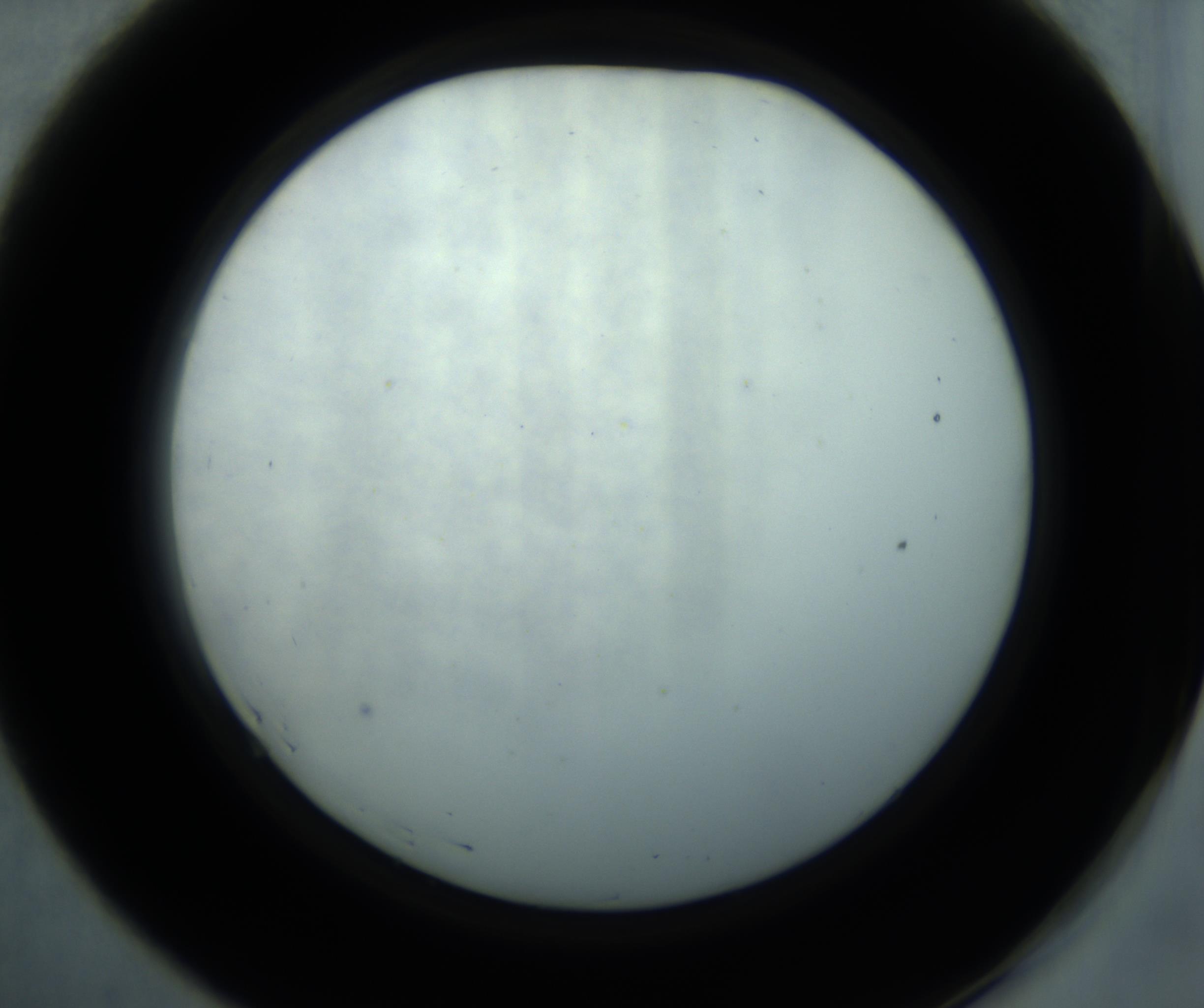 RI01_03_000_0212_Proj1_Clon1_MC_0000MC102869_001_161021_07_05_02_00_98_002_001_RAI.jpg