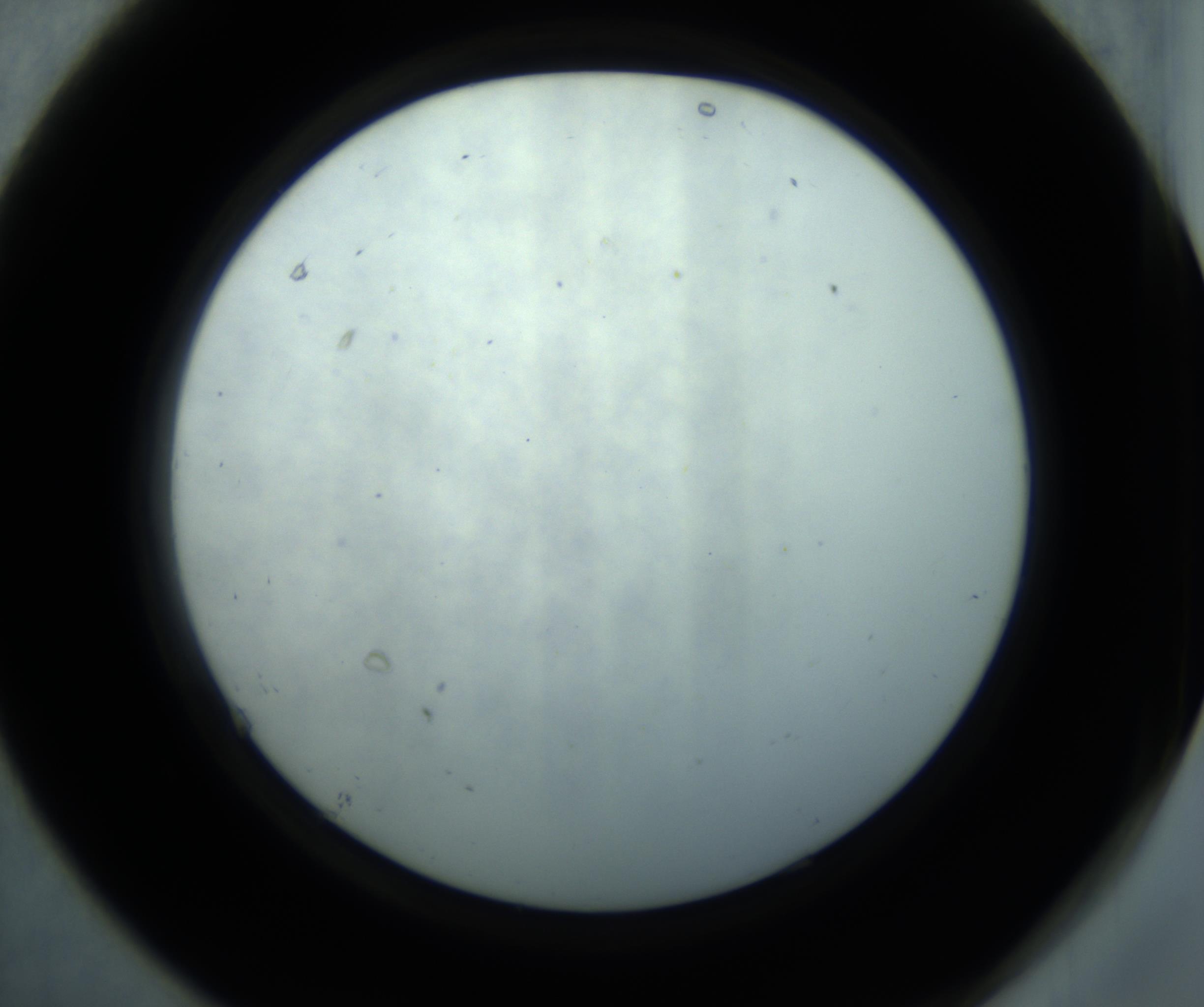 RI01_03_000_0212_Proj1_Clon1_MC_0000MC102869_001_161021_07_06_02_00_98_002_001_RAI.jpg