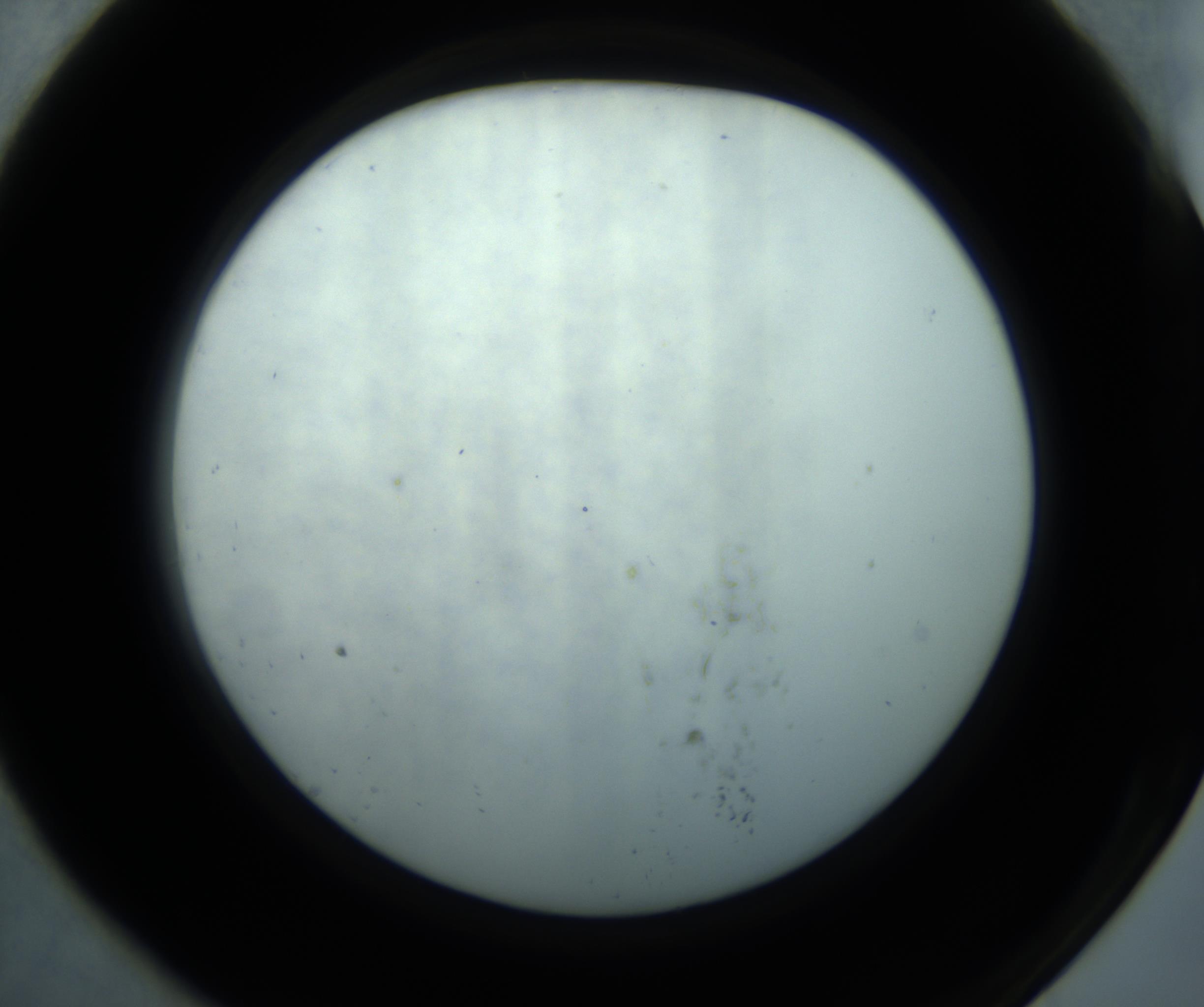 RI01_03_000_0212_Proj1_Clon1_MC_0000MC102869_001_161021_07_07_02_00_98_002_001_RAI.jpg