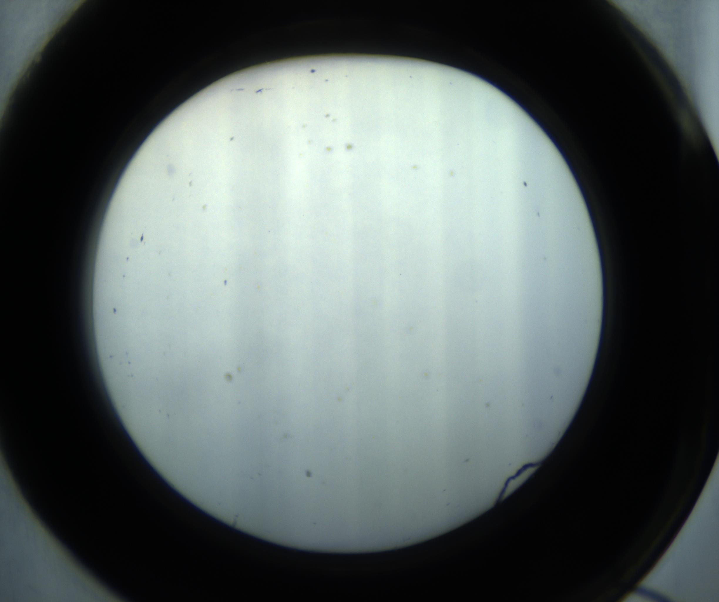 RI01_03_000_0212_Proj1_Clon1_MC_0000MC102869_001_161021_07_08_02_00_98_002_001_RAI.jpg