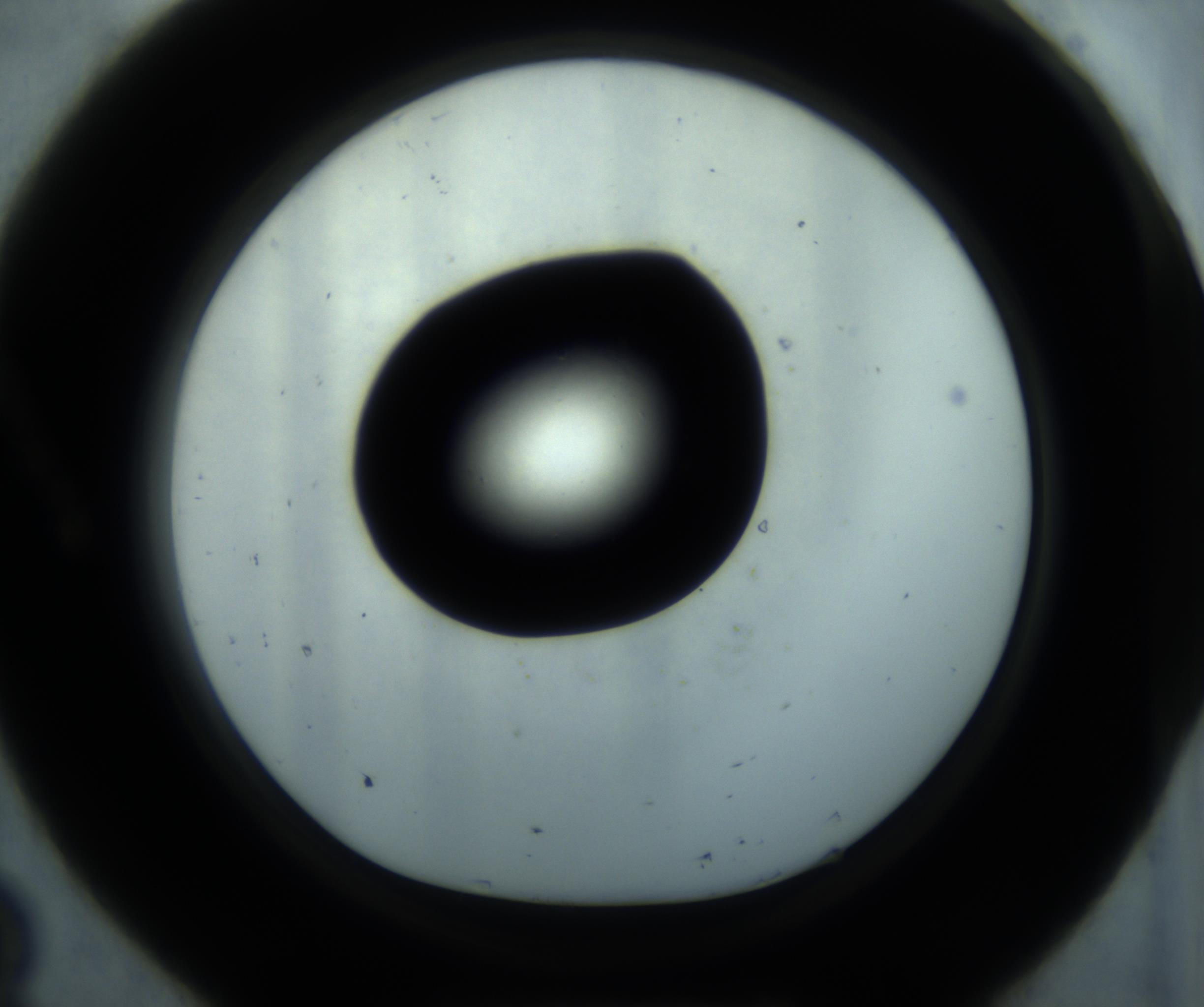 RI01_03_000_0212_Proj1_Clon1_MC_0000MC102869_001_161021_08_01_01_00_98_002_001_RAI.jpg