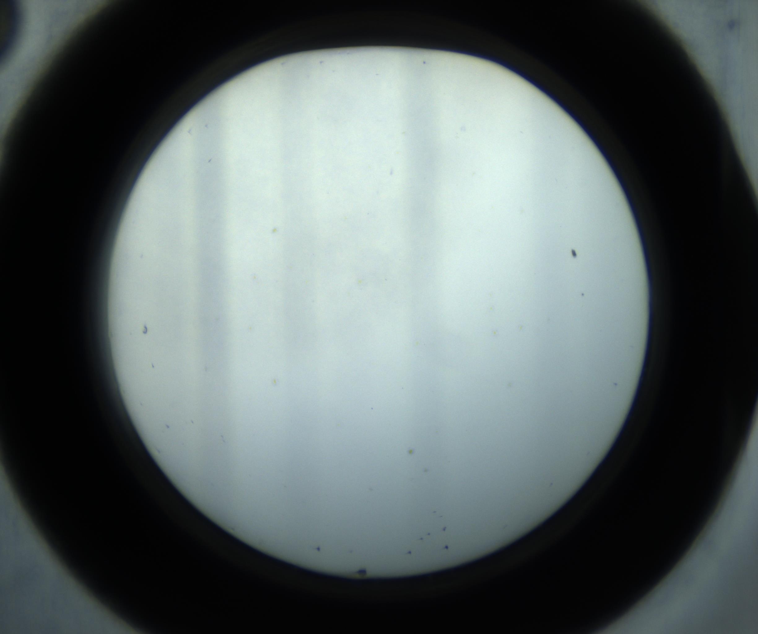 RI01_03_000_0212_Proj1_Clon1_MC_0000MC102869_001_161021_08_02_02_00_98_002_001_RAI.jpg