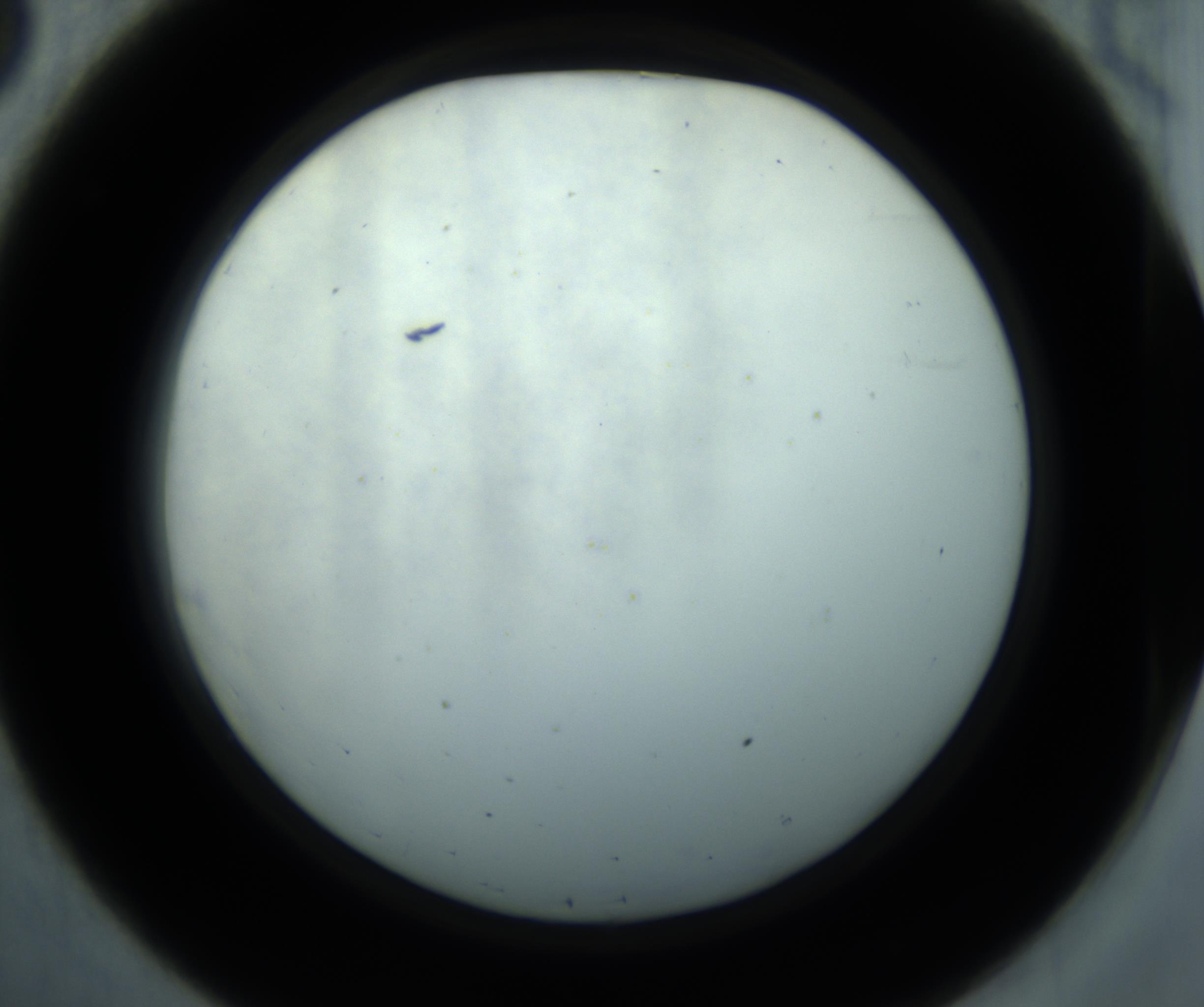 RI01_03_000_0212_Proj1_Clon1_MC_0000MC102869_001_161021_08_03_02_00_98_002_001_RAI.jpg