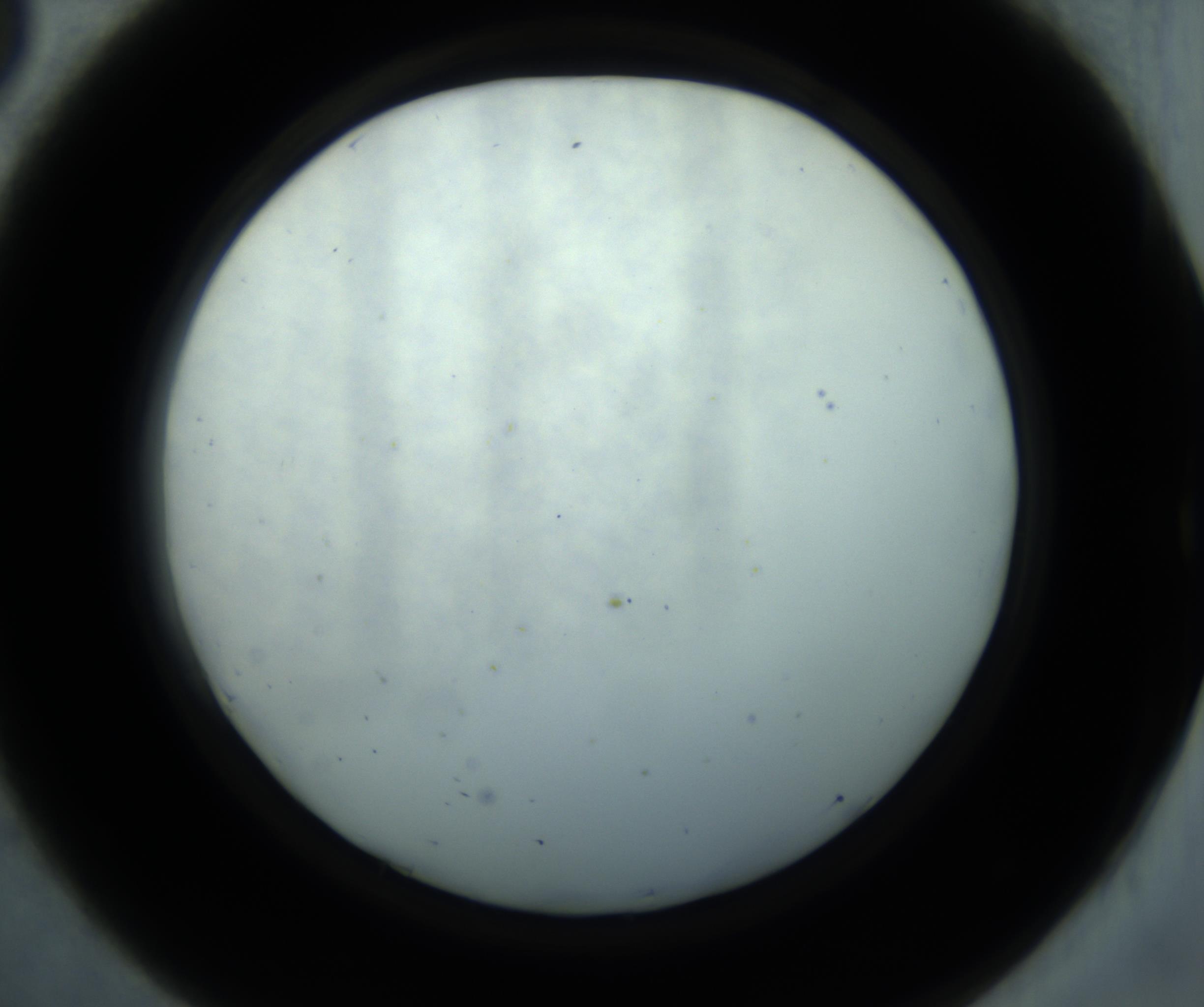 RI01_03_000_0212_Proj1_Clon1_MC_0000MC102869_001_161021_08_04_02_00_98_002_001_RAI.jpg