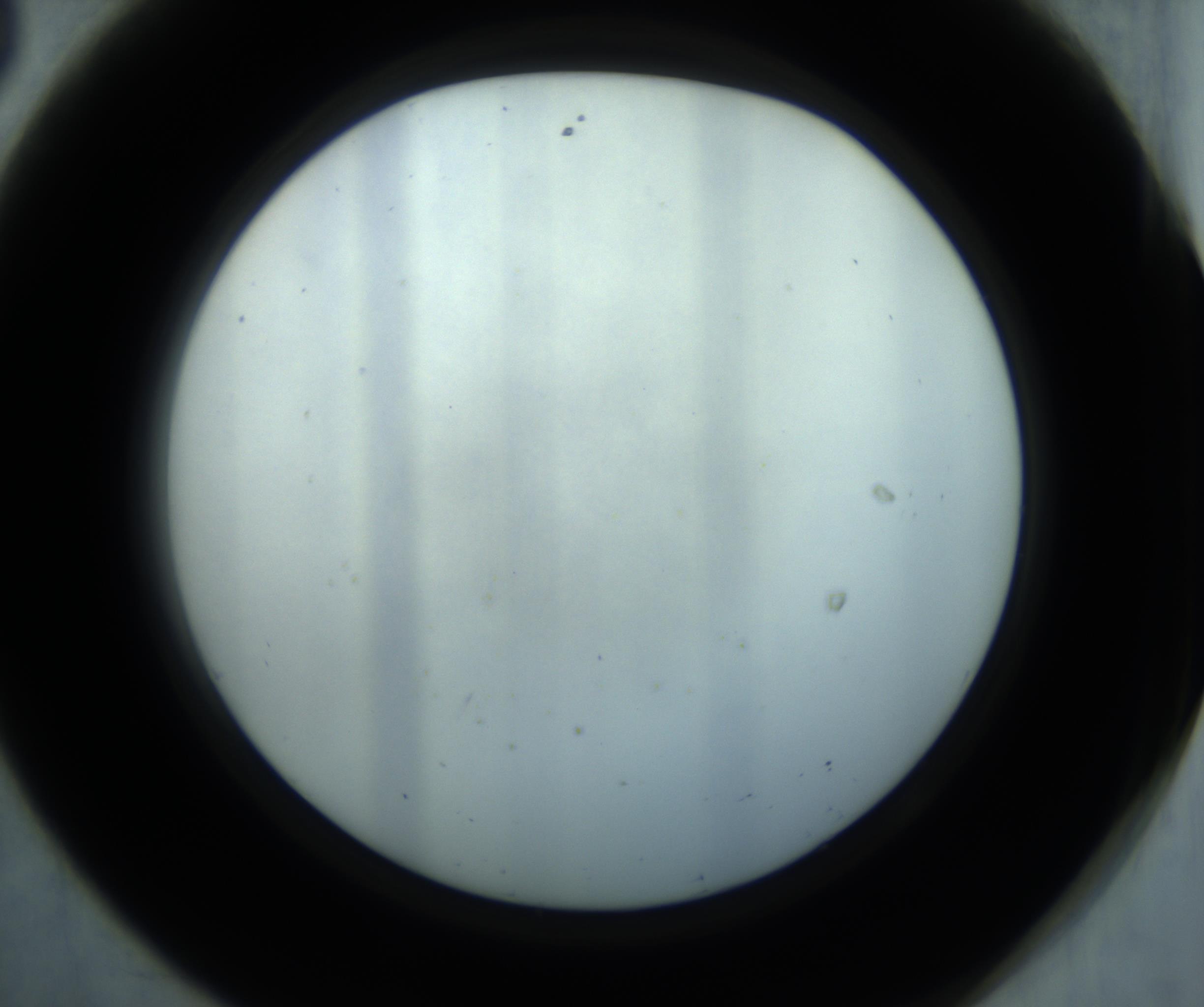 RI01_03_000_0212_Proj1_Clon1_MC_0000MC102869_001_161021_08_05_02_00_98_002_001_RAI.jpg