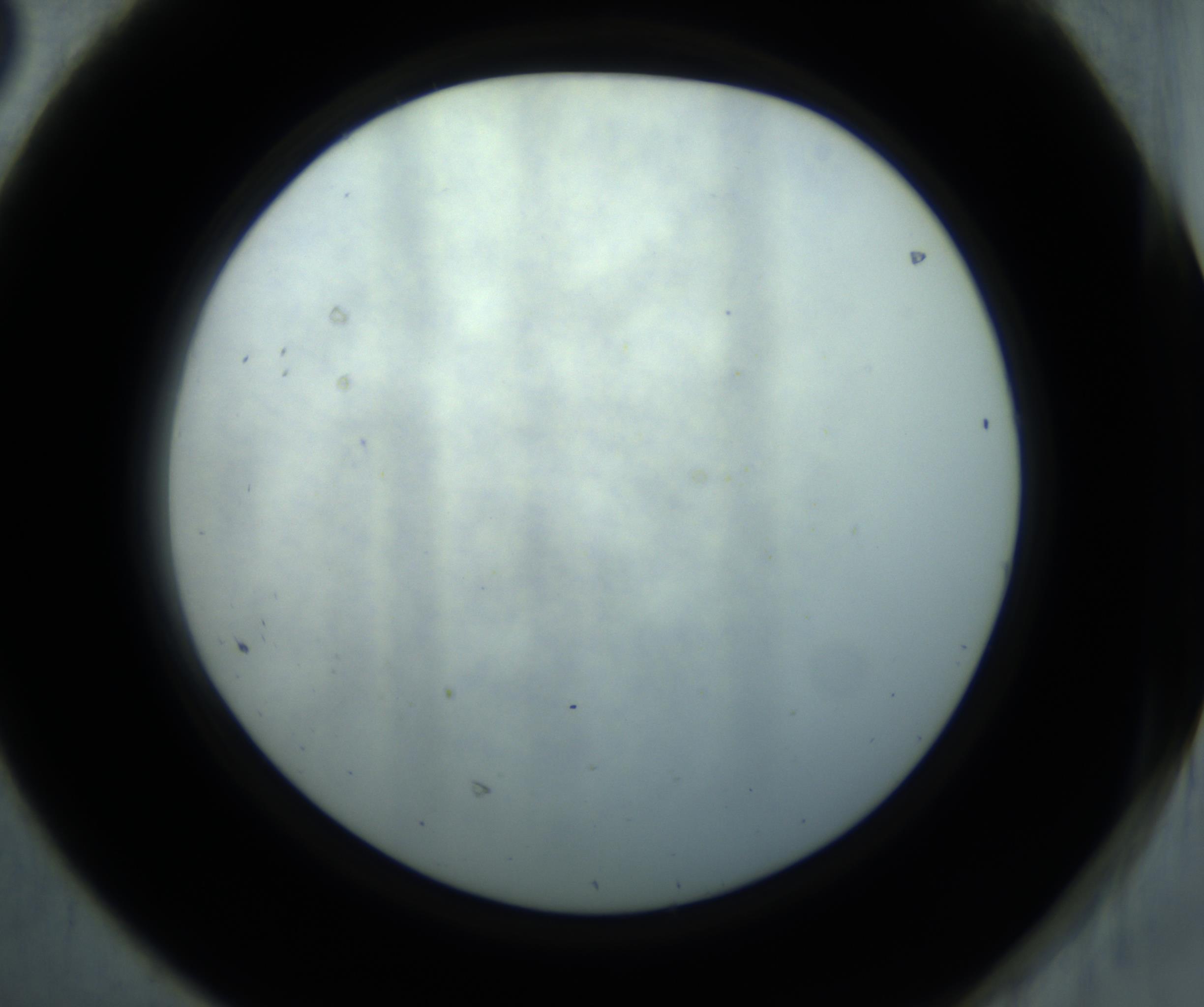 RI01_03_000_0212_Proj1_Clon1_MC_0000MC102869_001_161021_08_06_02_00_98_002_001_RAI.jpg