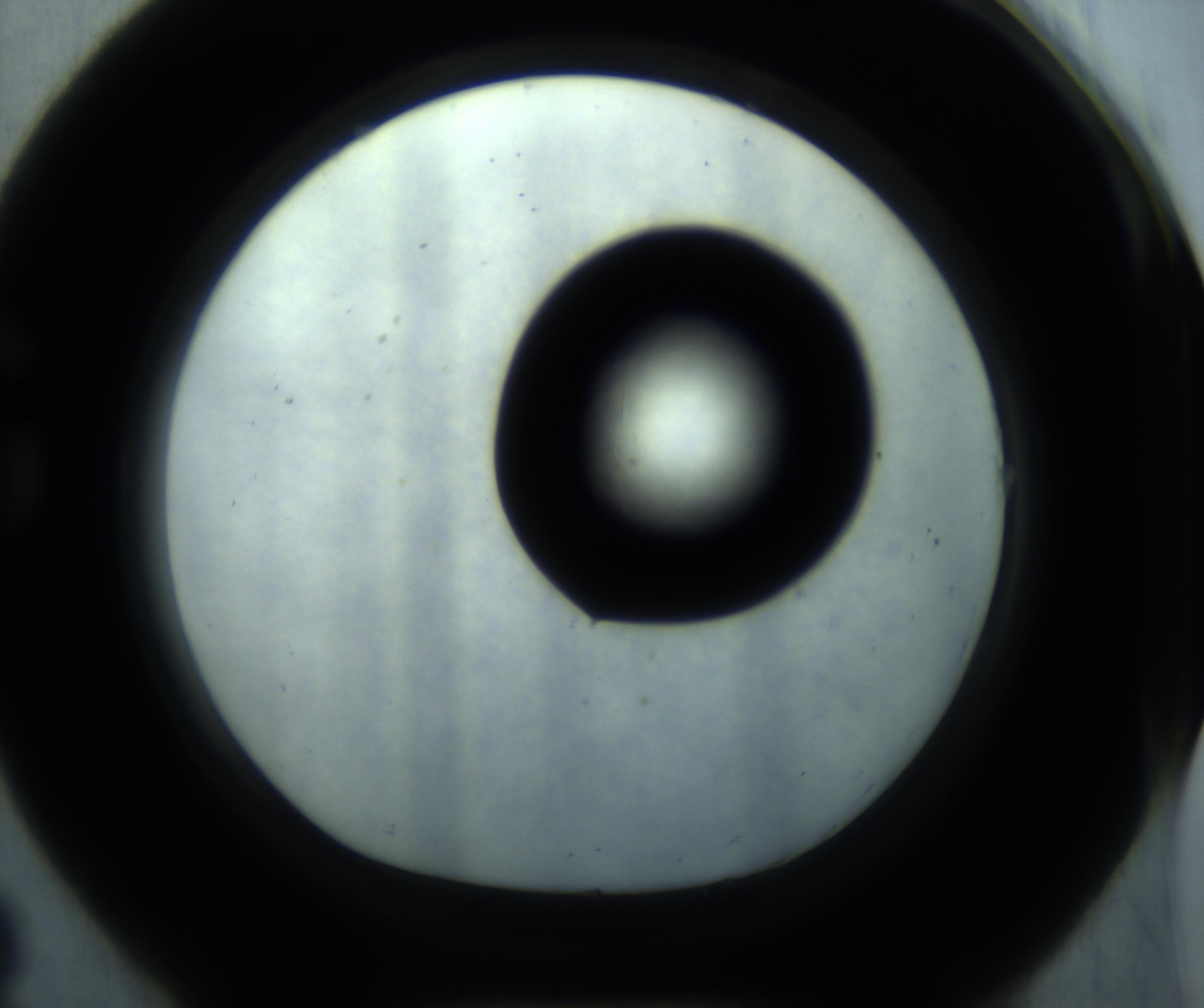 RI01_03_000_0212_Proj1_Clon1_MC_0000MC102869_001_161021_08_07_01_00_98_002_001_RAI.jpg
