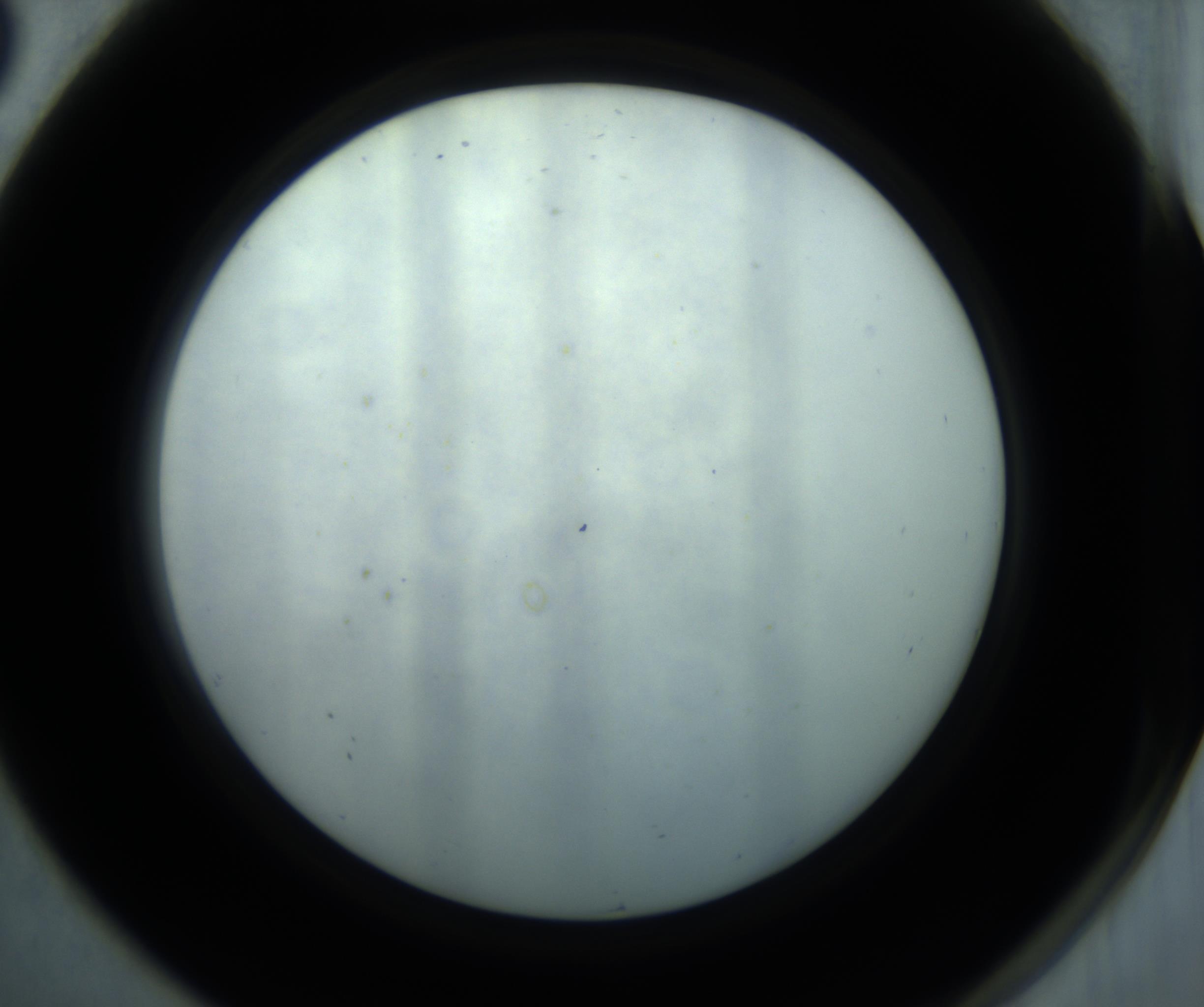 RI01_03_000_0212_Proj1_Clon1_MC_0000MC102869_001_161021_08_07_02_00_98_002_001_RAI.jpg