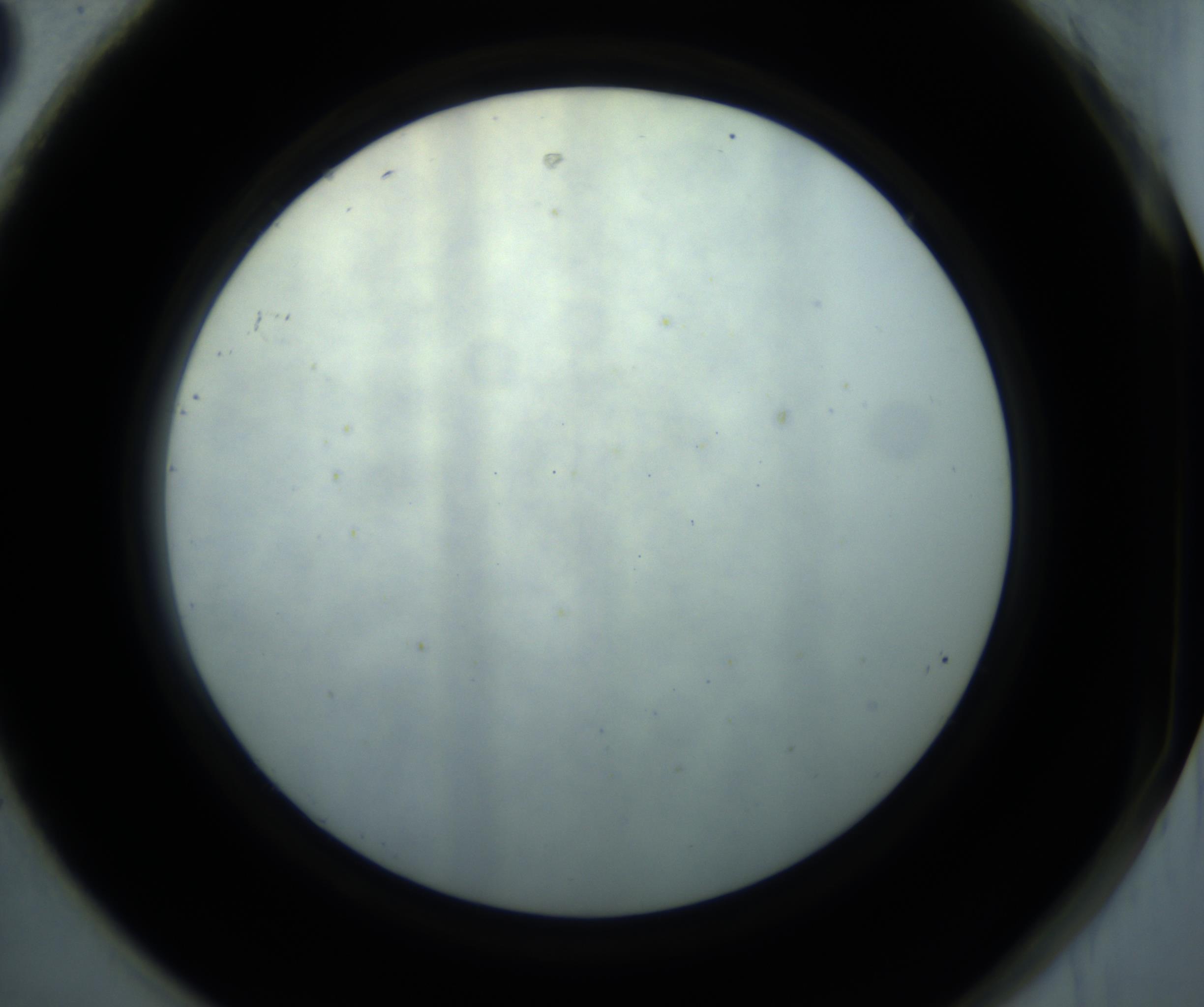 RI01_03_000_0212_Proj1_Clon1_MC_0000MC102869_001_161021_08_08_02_00_98_002_001_RAI.jpg