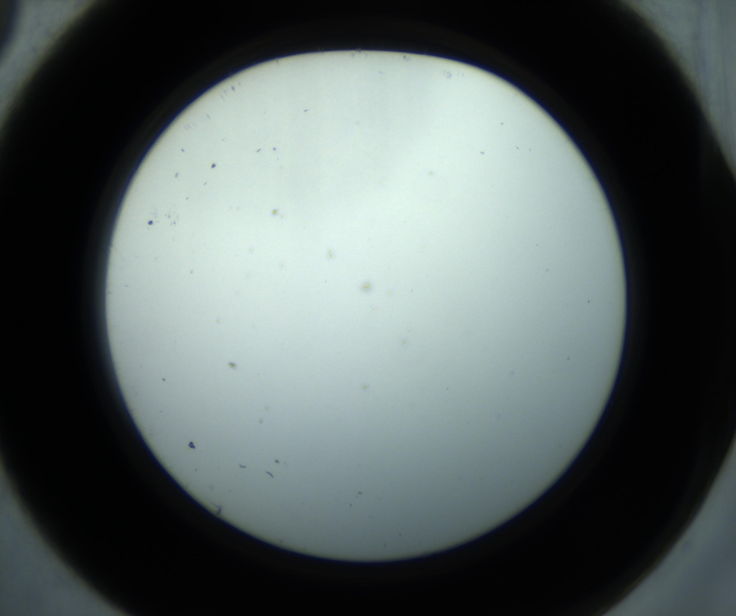RI01_03_000_0212_Proj1_Clon1_MC_0000MC102869_001_161021_09_01_02_00_98_002_001_RAI.jpg