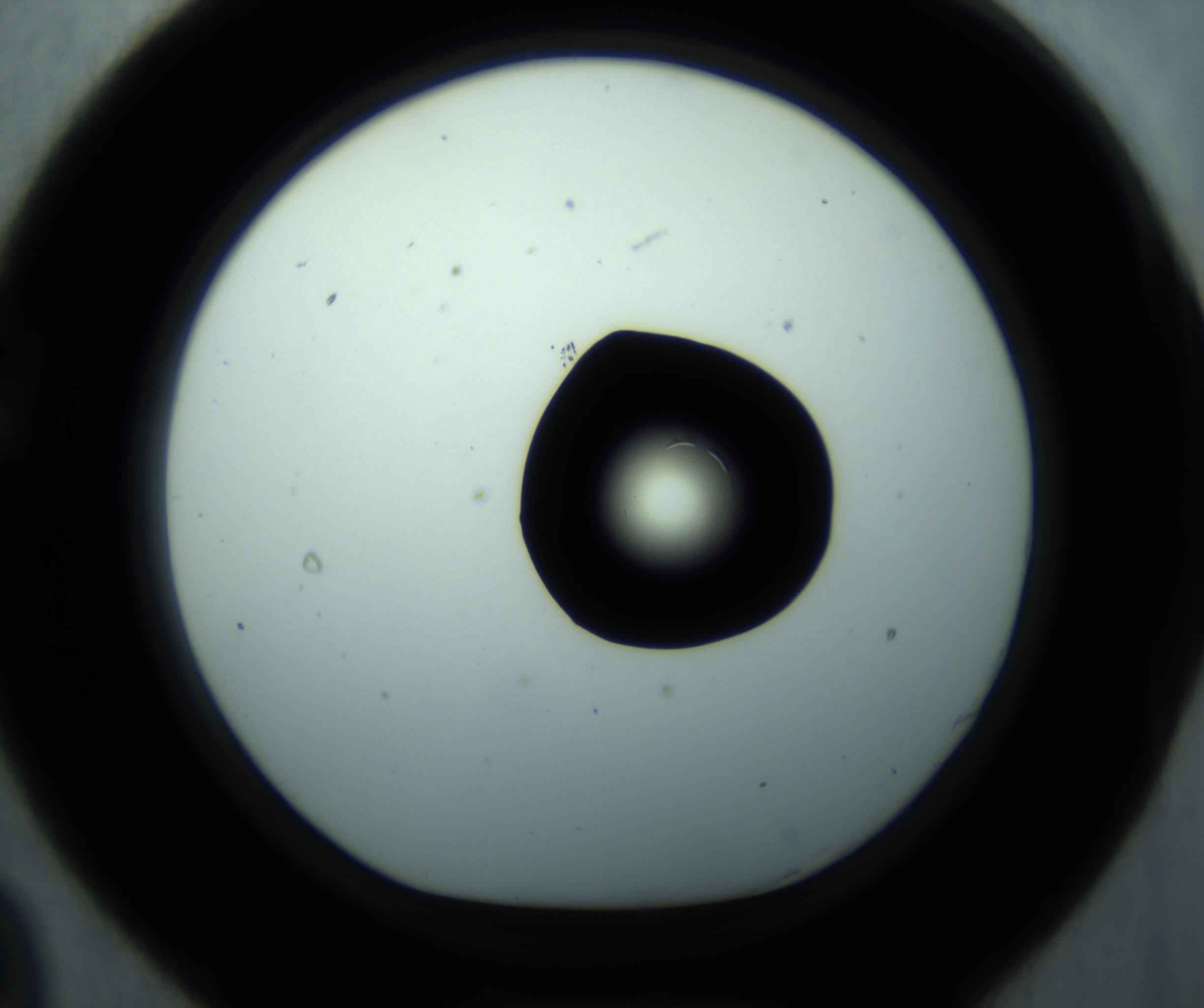 RI01_03_000_0212_Proj1_Clon1_MC_0000MC102869_001_161021_09_02_01_00_98_002_001_RAI.jpg
