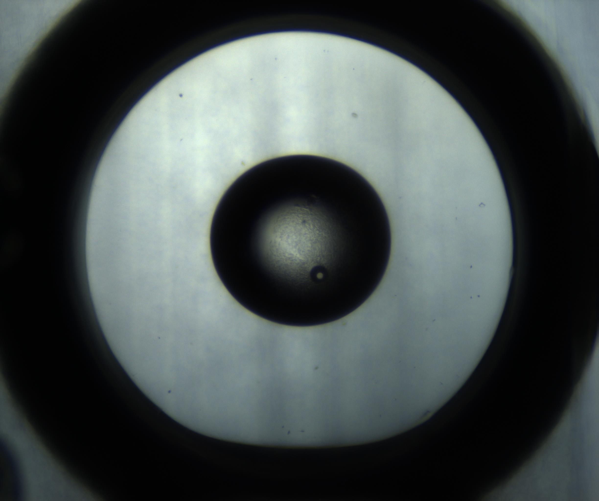 RI01_03_000_0212_Proj1_Clon1_MC_0000MC102869_001_161021_09_03_01_00_98_002_001_RAI.jpg