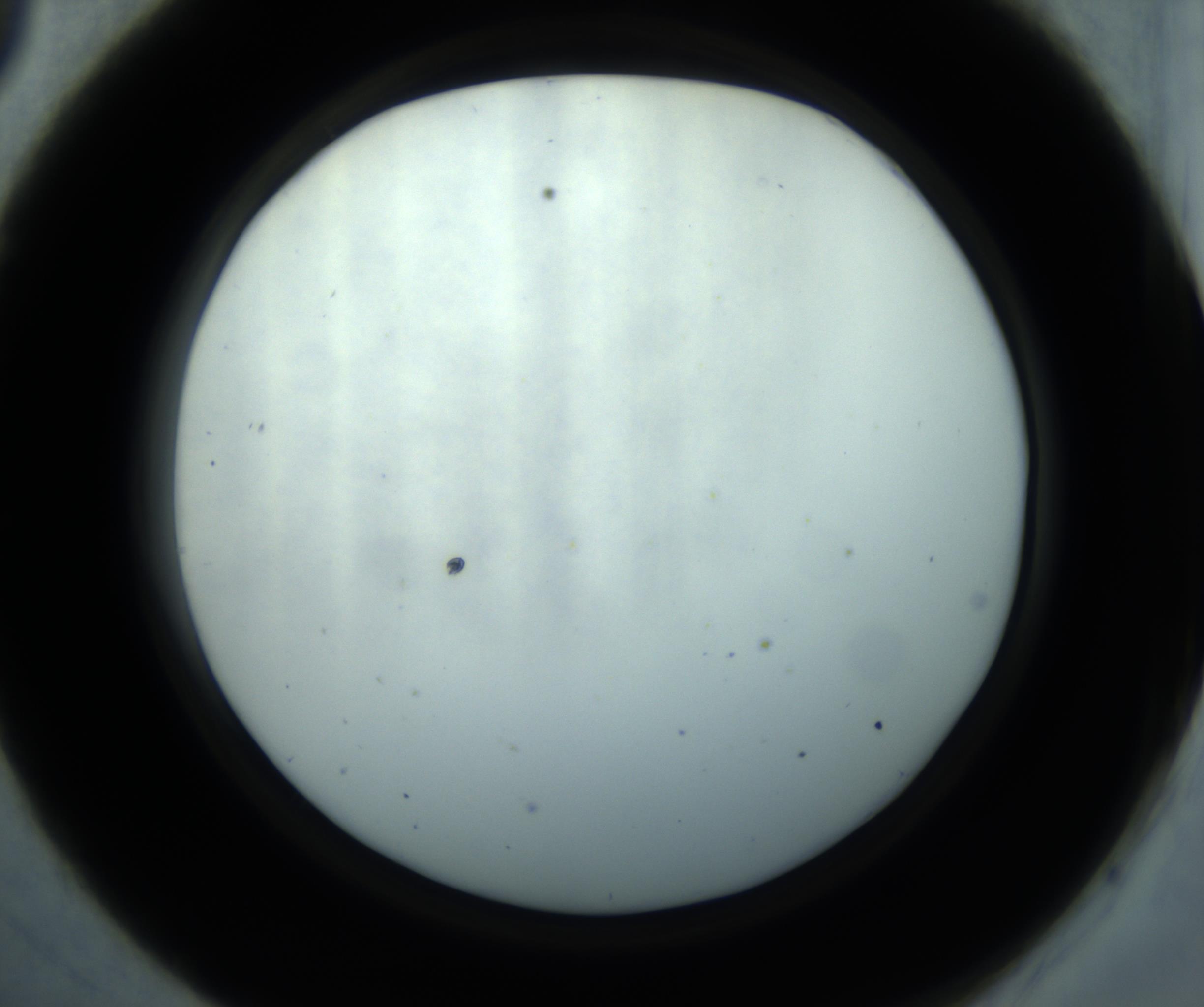 RI01_03_000_0212_Proj1_Clon1_MC_0000MC102869_001_161021_09_03_02_00_98_002_001_RAI.jpg