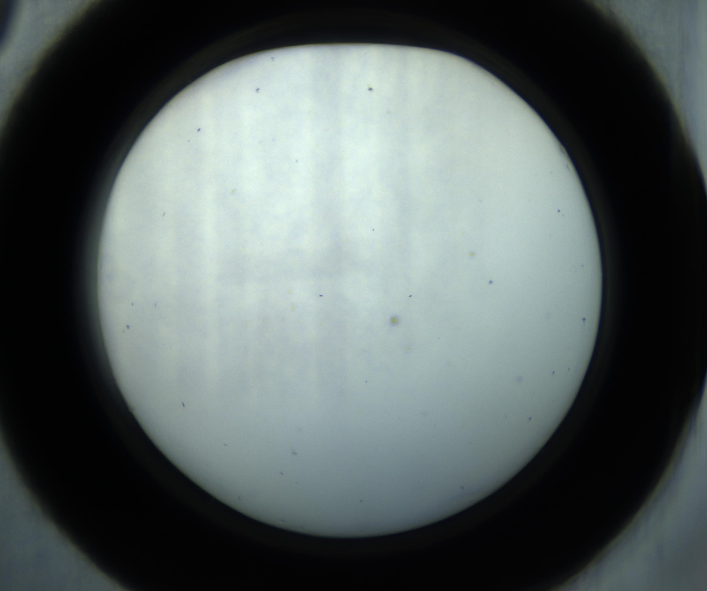 RI01_03_000_0212_Proj1_Clon1_MC_0000MC102869_001_161021_09_04_02_00_98_002_001_RAI.jpg