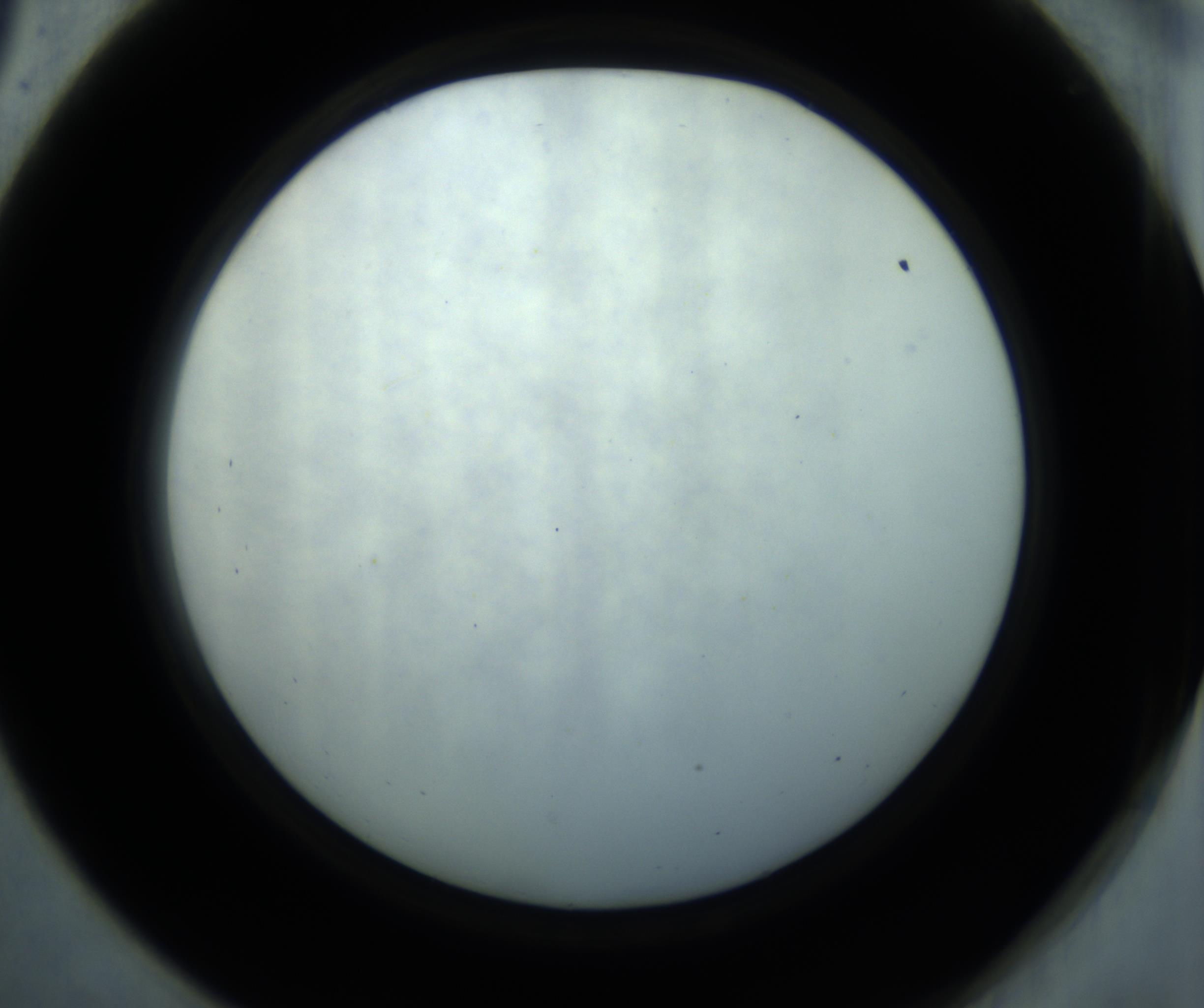 RI01_03_000_0212_Proj1_Clon1_MC_0000MC102869_001_161021_09_05_02_00_98_002_001_RAI.jpg