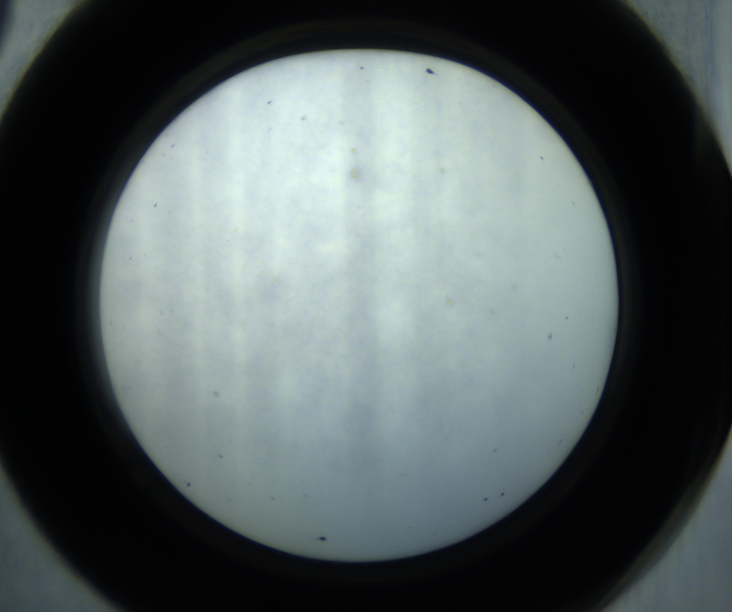 RI01_03_000_0212_Proj1_Clon1_MC_0000MC102869_001_161021_09_06_02_00_98_002_001_RAI.jpg
