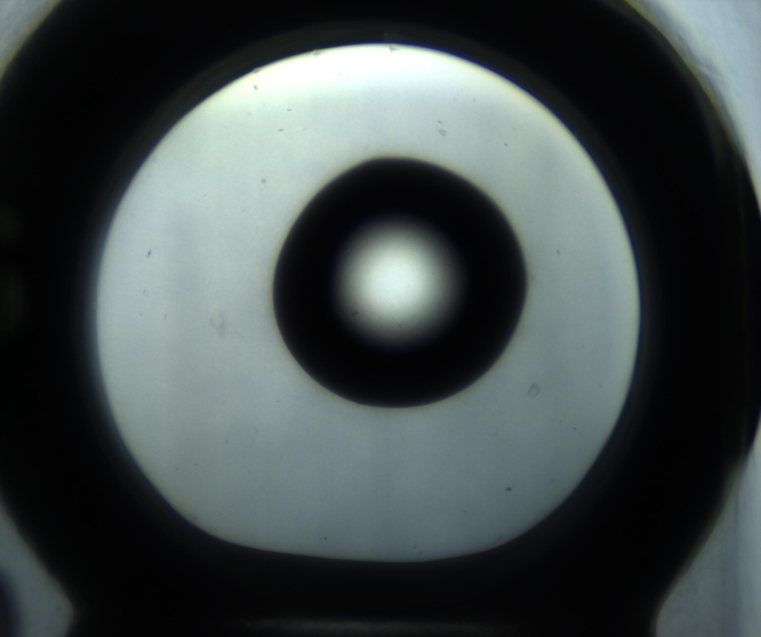 RI01_03_000_0212_Proj1_Clon1_MC_0000MC102869_001_161021_09_07_01_00_98_002_001_RAI.jpg