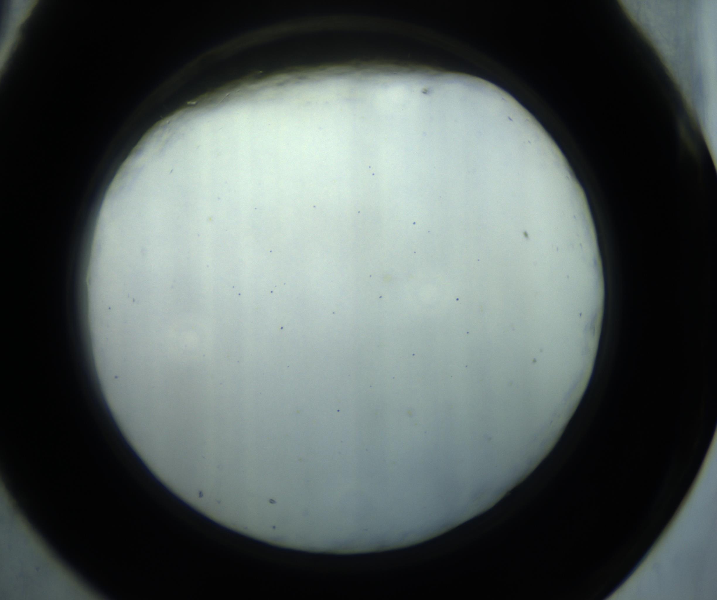RI01_03_000_0212_Proj1_Clon1_MC_0000MC102869_001_161021_09_07_02_00_98_002_001_RAI.jpg