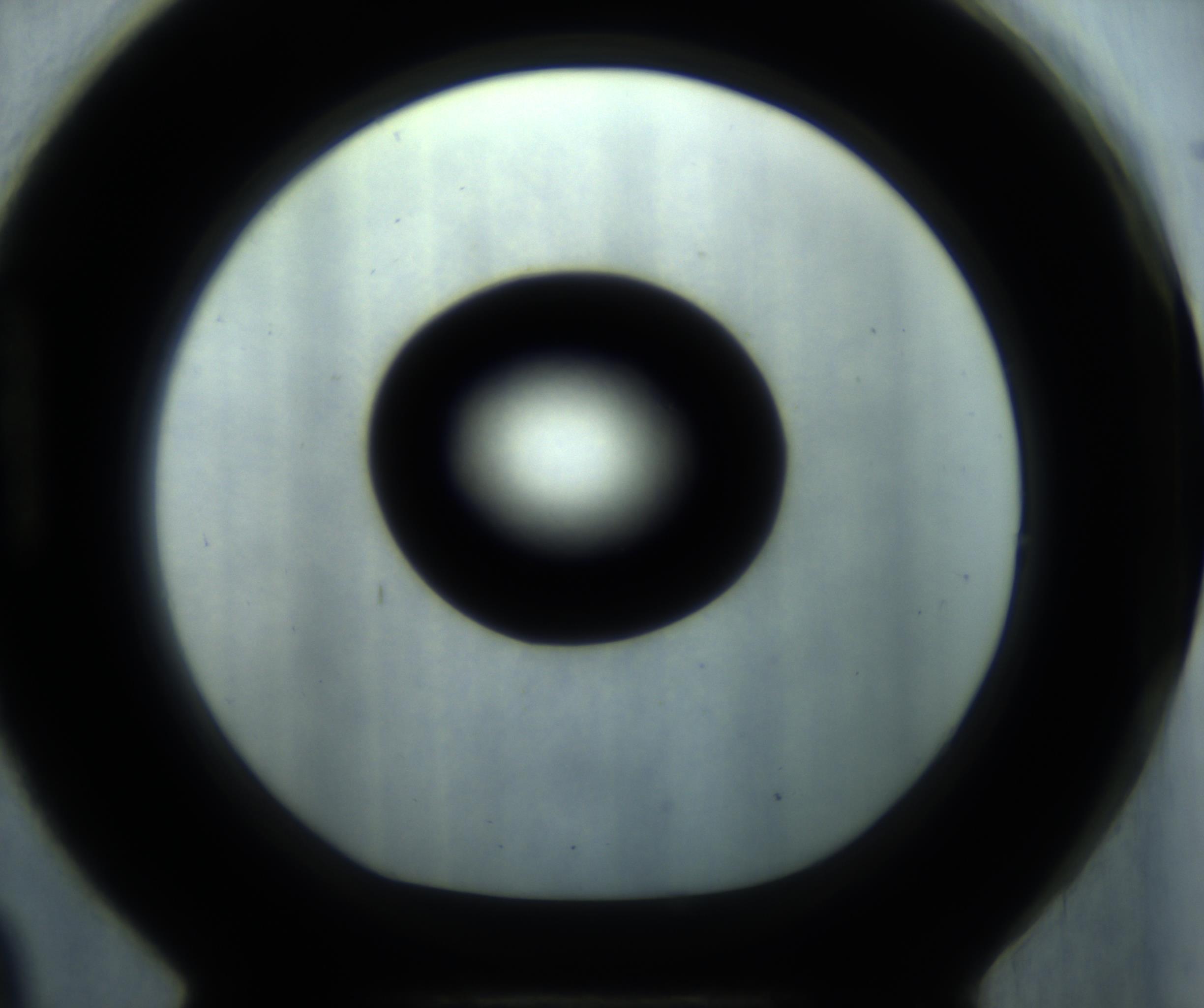 RI01_03_000_0212_Proj1_Clon1_MC_0000MC102869_001_161021_09_08_01_00_98_002_001_RAI.jpg